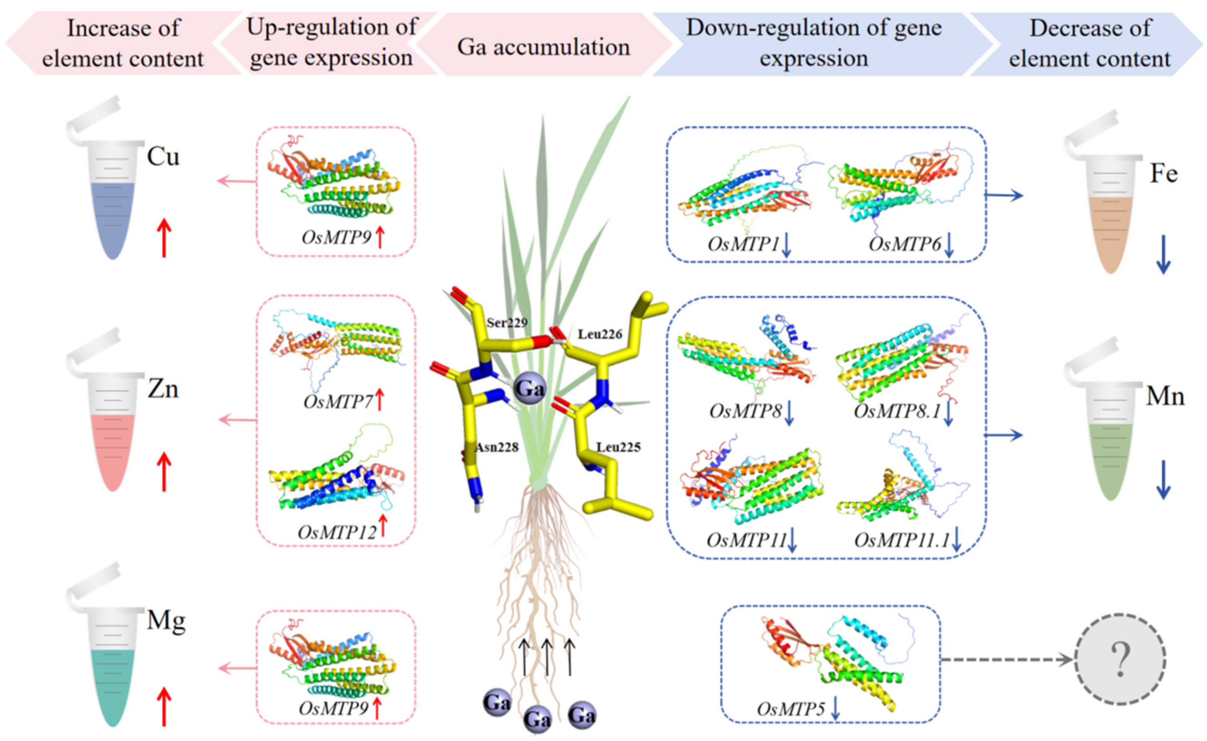 Toxics 12 00831 g006