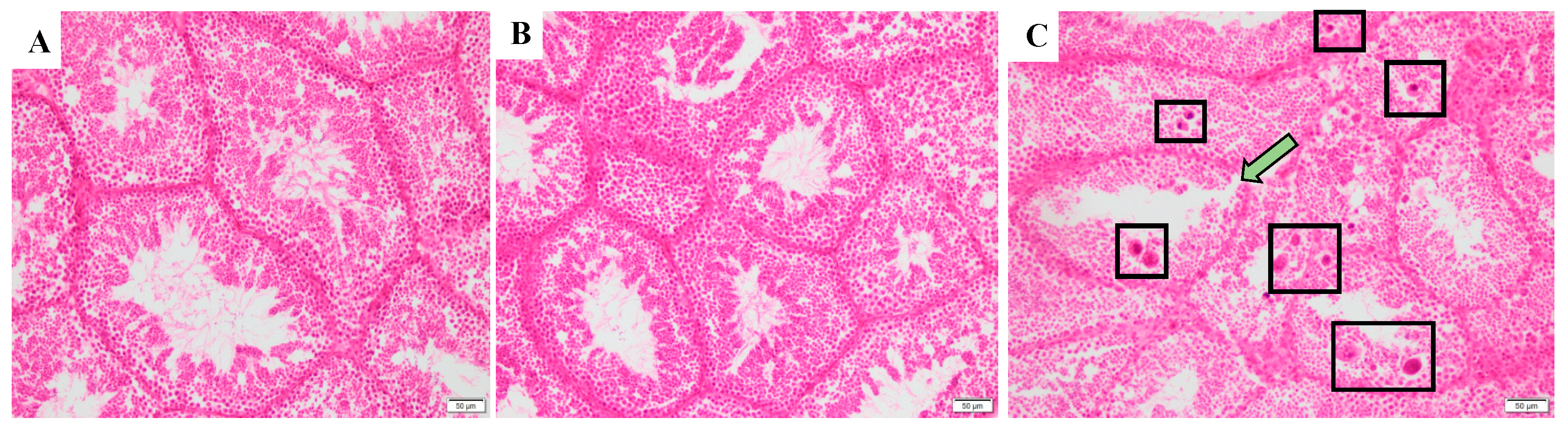 Toxics 12 00834 g008