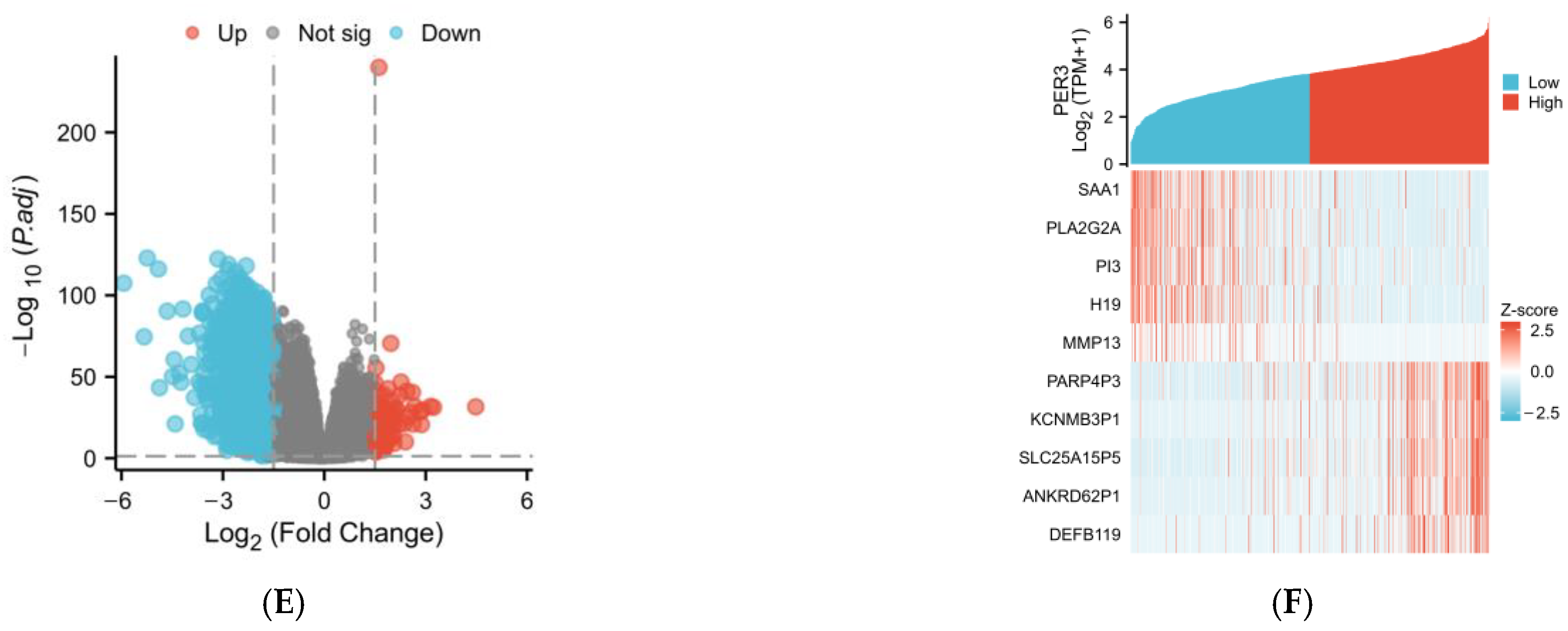 Toxics 12 00835 g001b