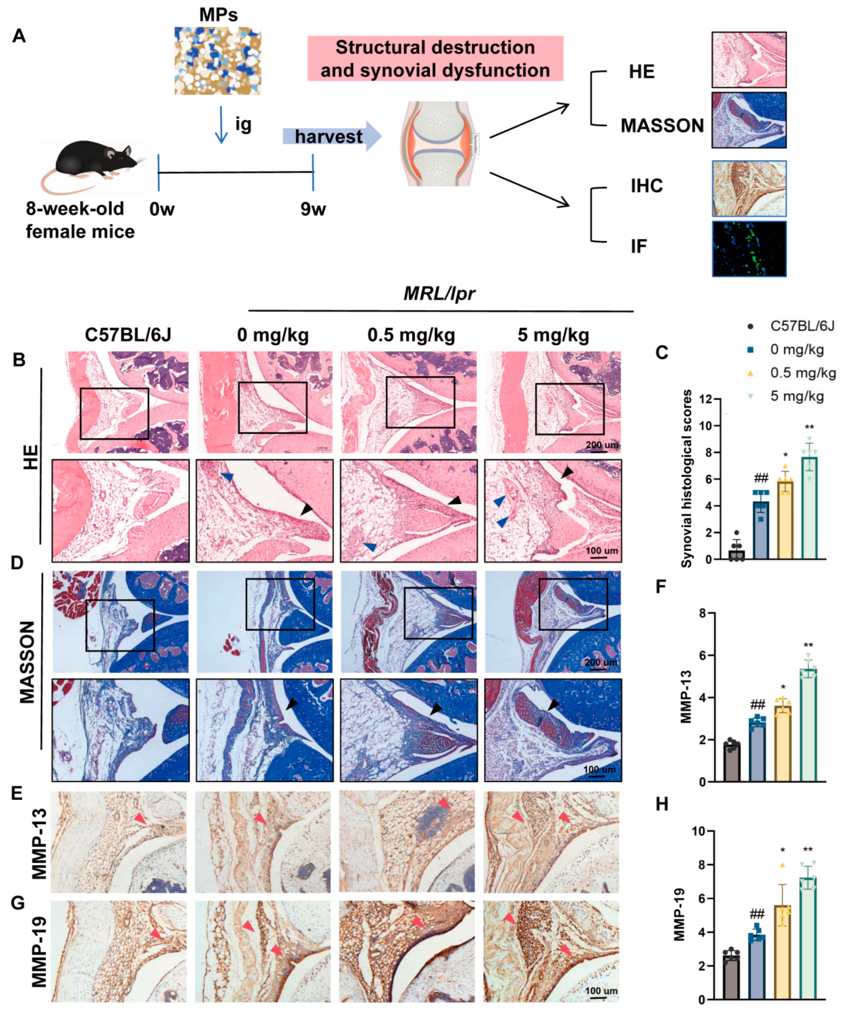 Toxics 12 00840 g001