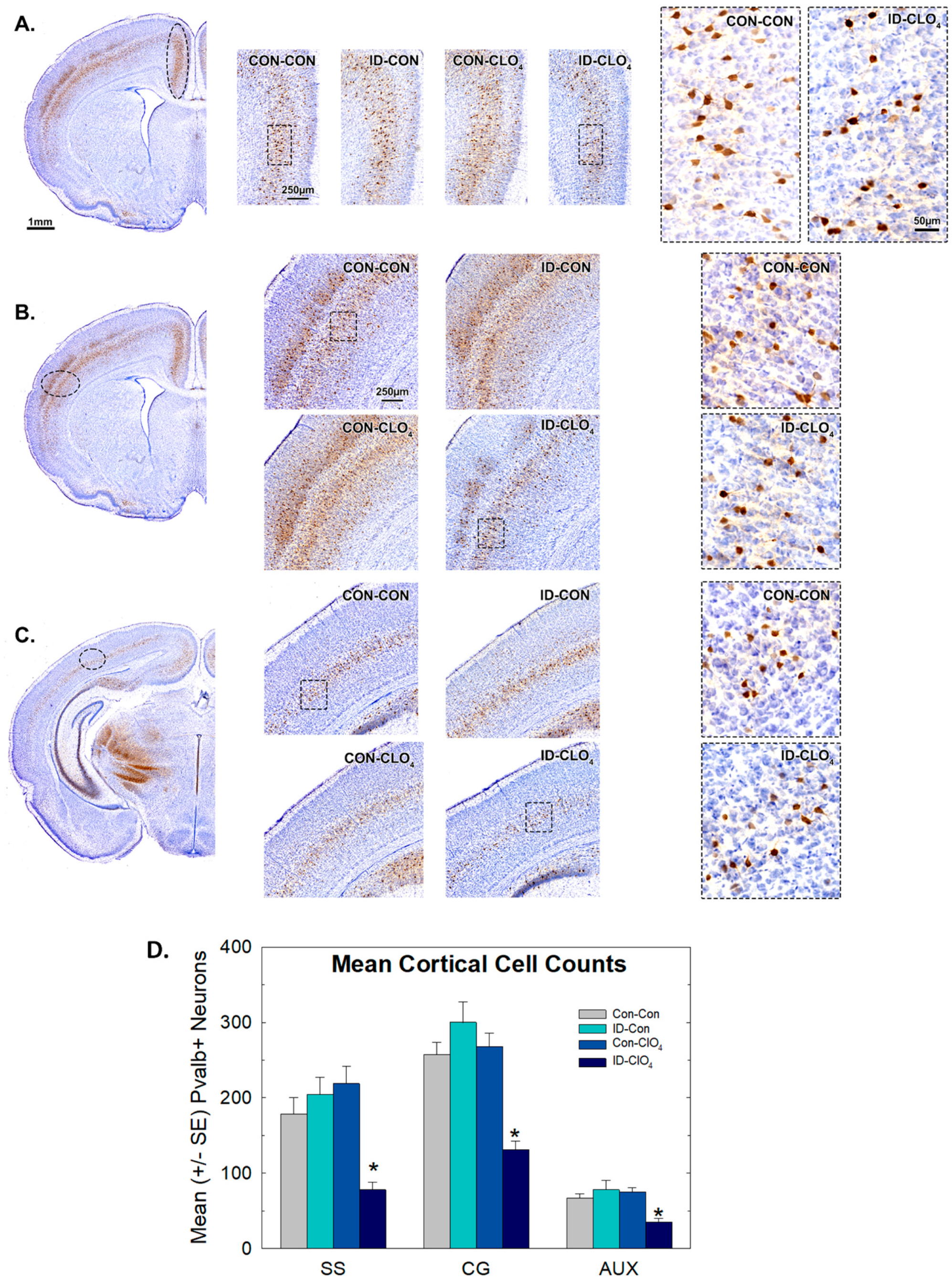 Toxics 12 00842 g007