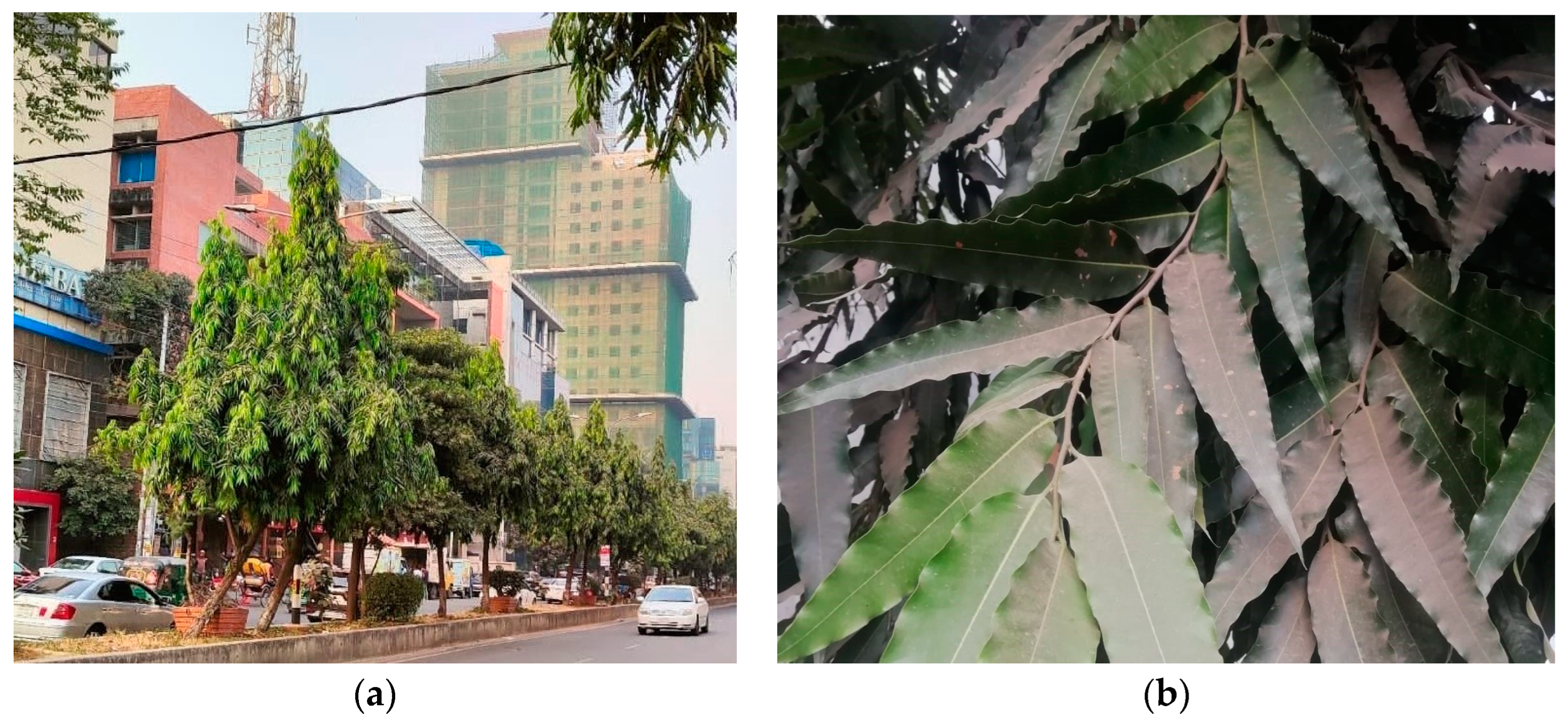 Toxics 12 00848 g002