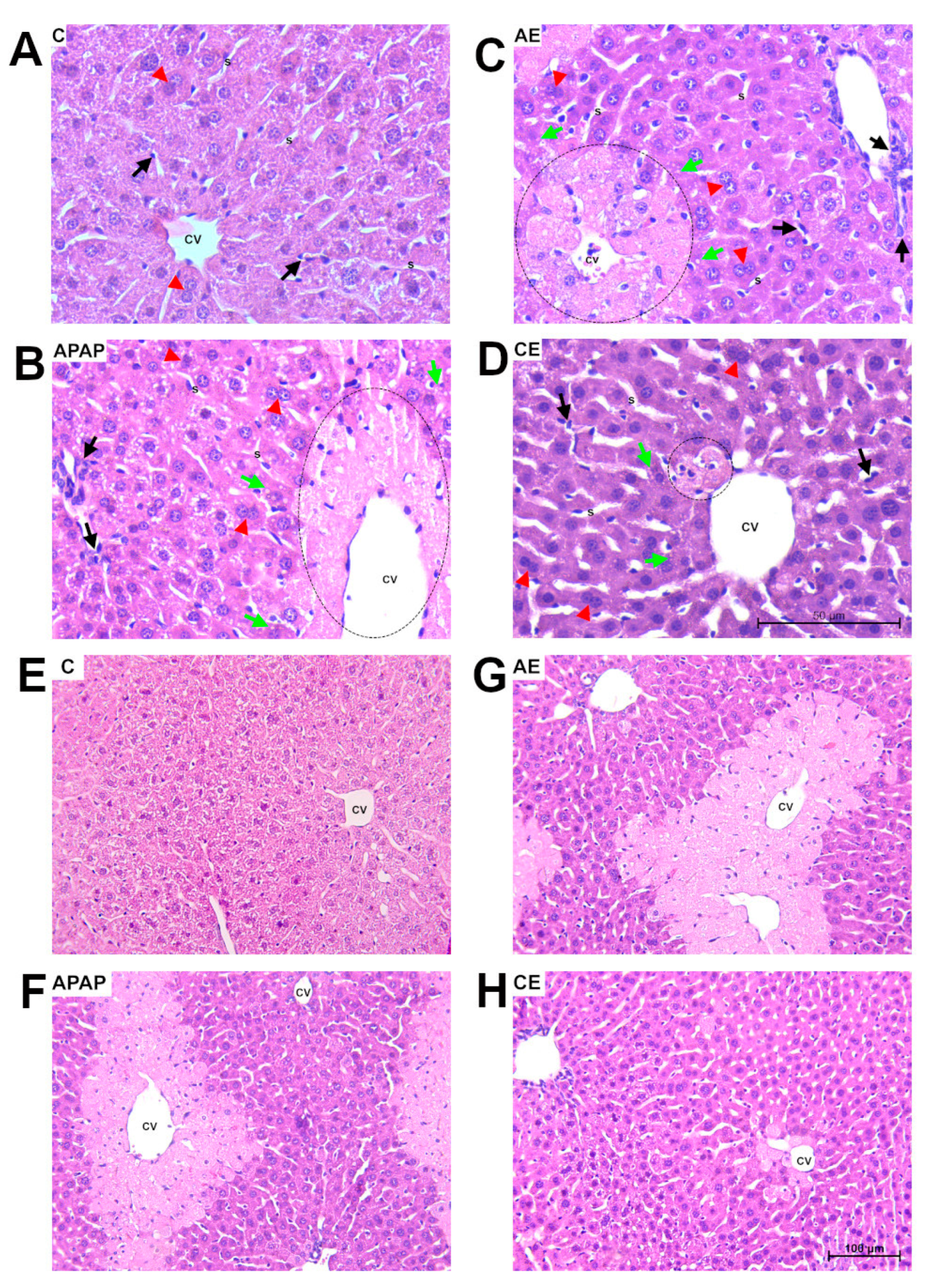 Toxics 12 00857 g003 Toxics 12 00857 g003