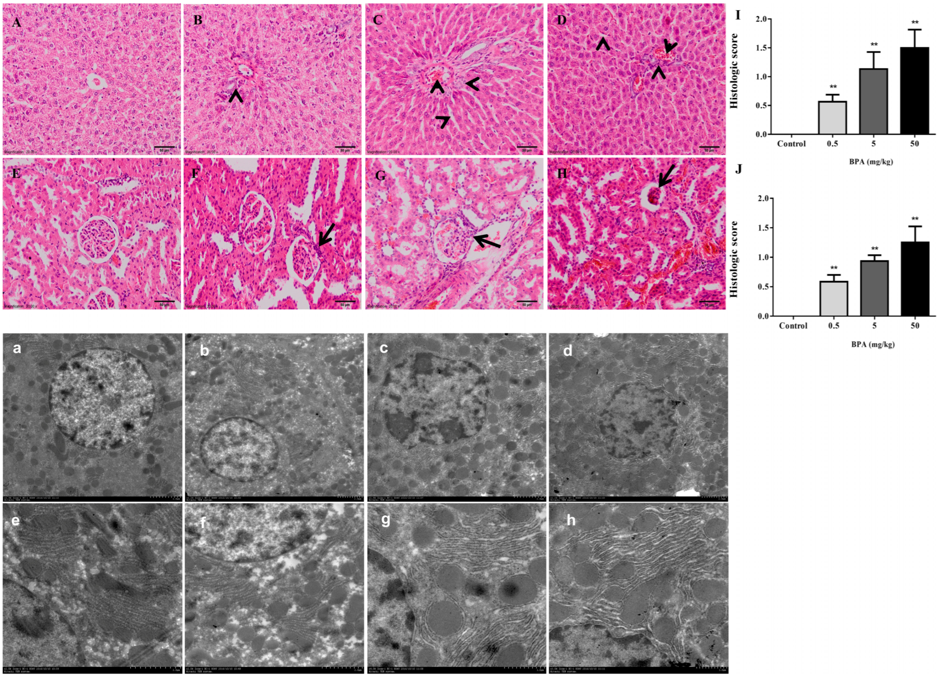 Toxics 12 00864 g001