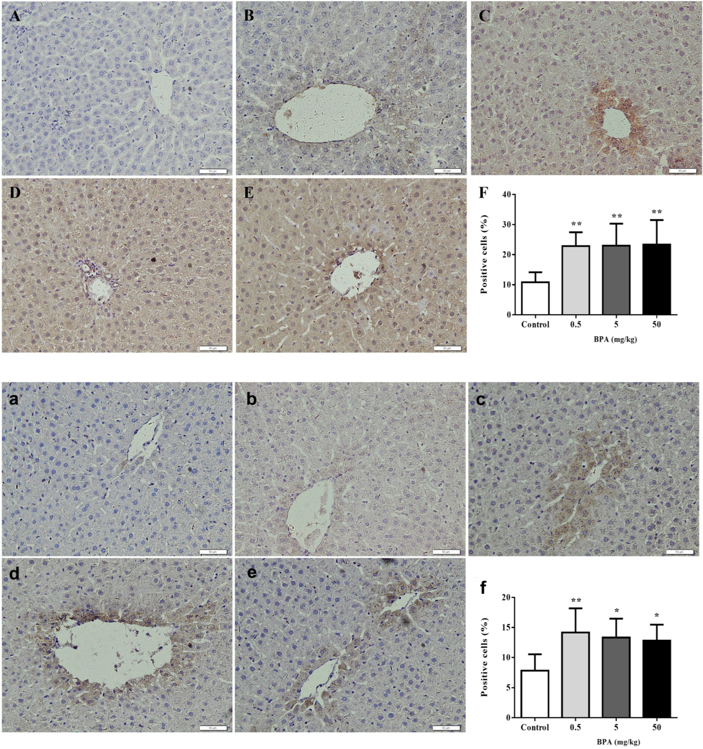 Toxics 12 00864 g003