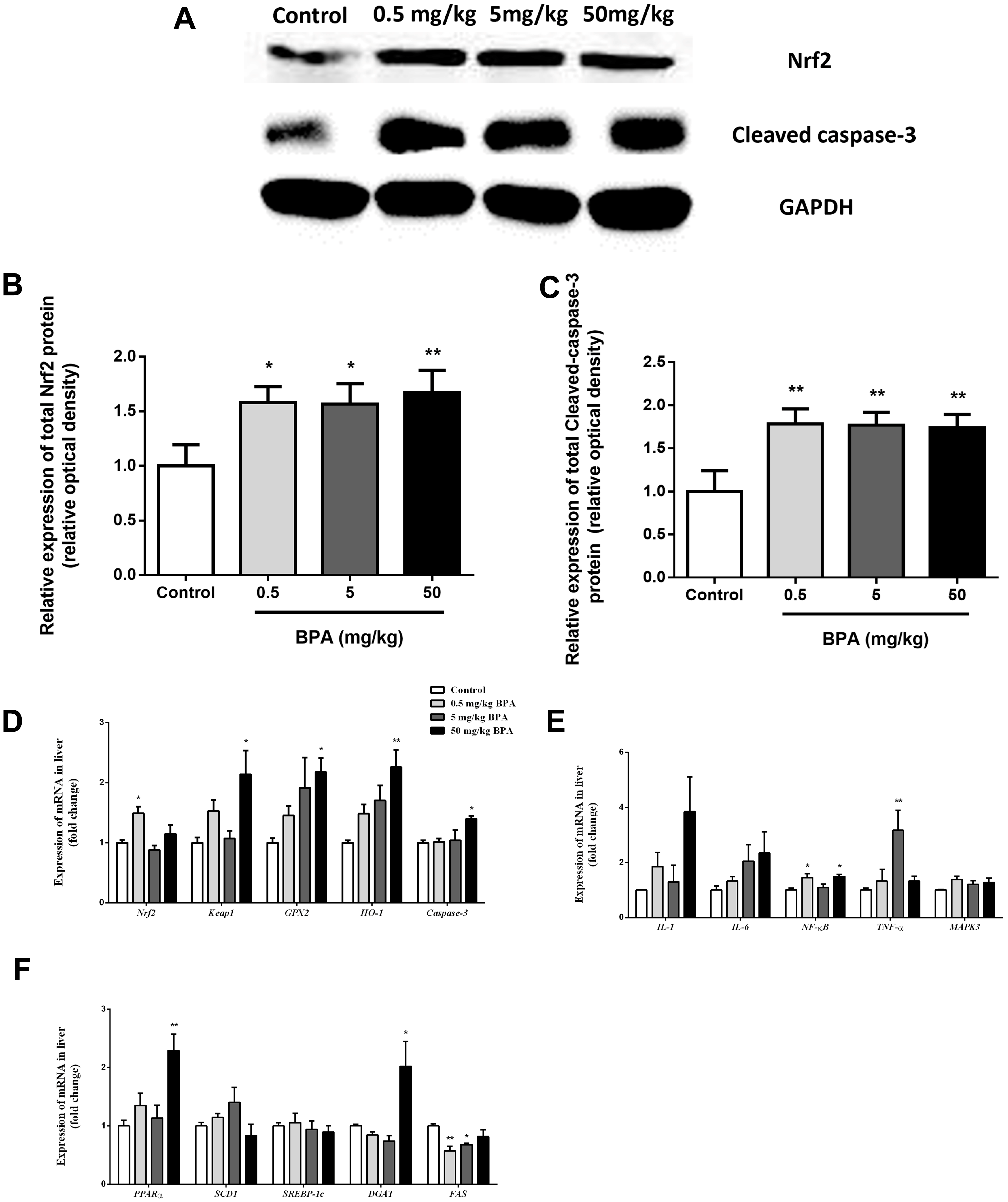Toxics 12 00864 g004