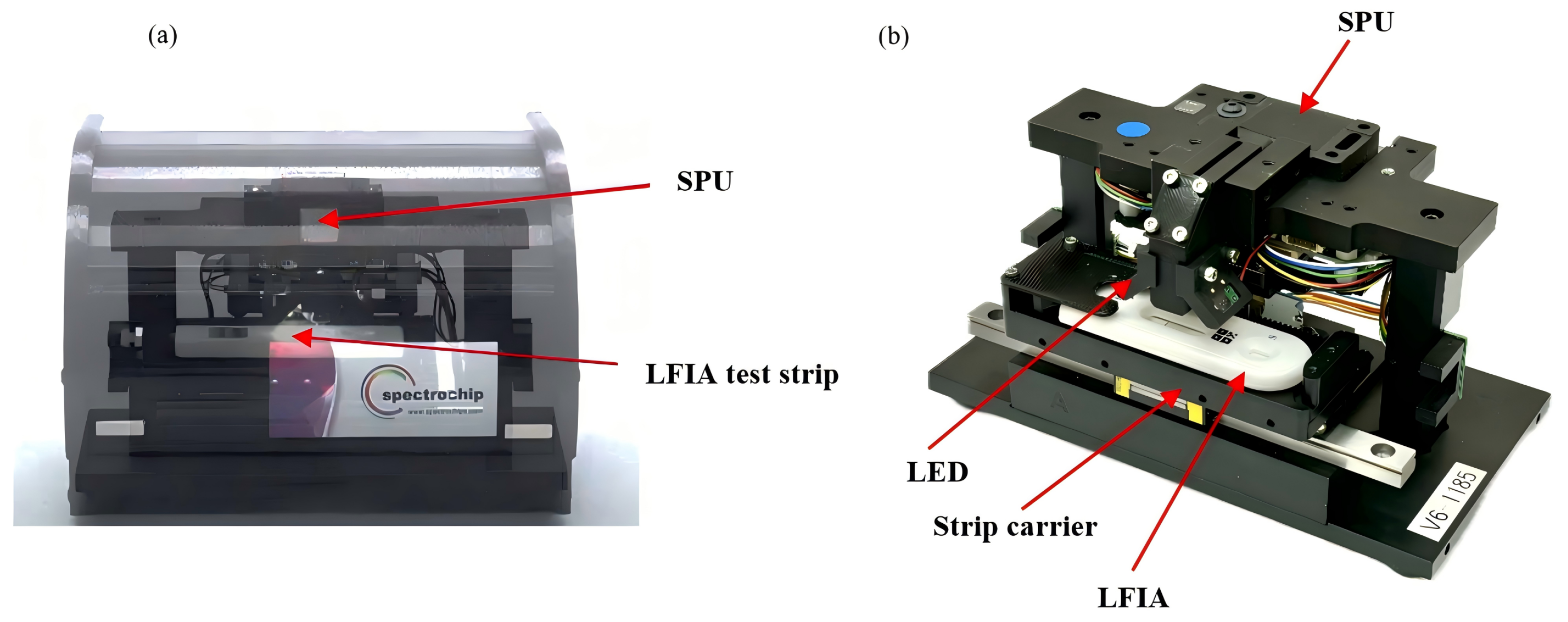 Toxics 12 00870 g002