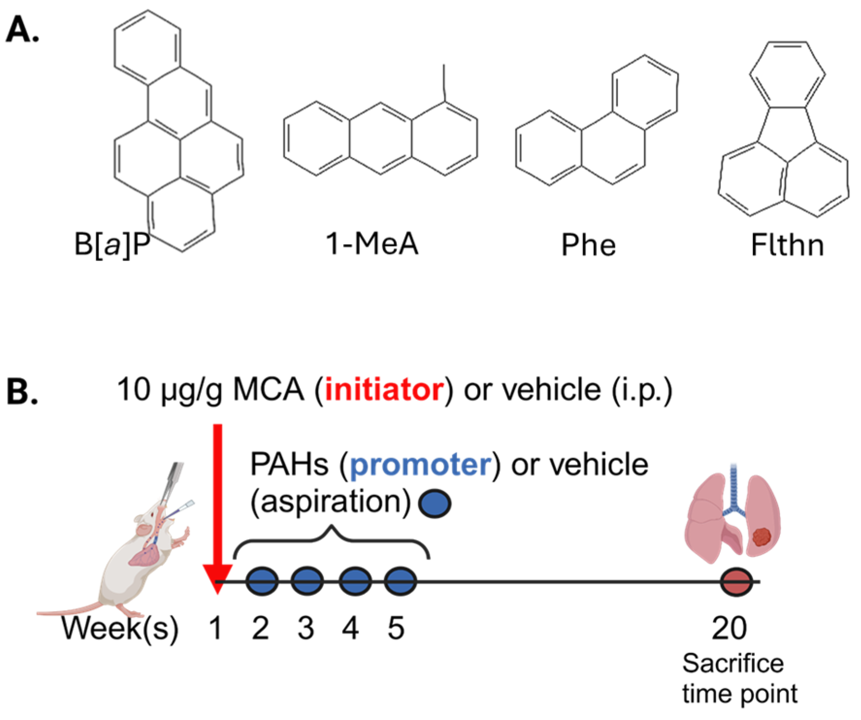 Toxics 12 00882 g001