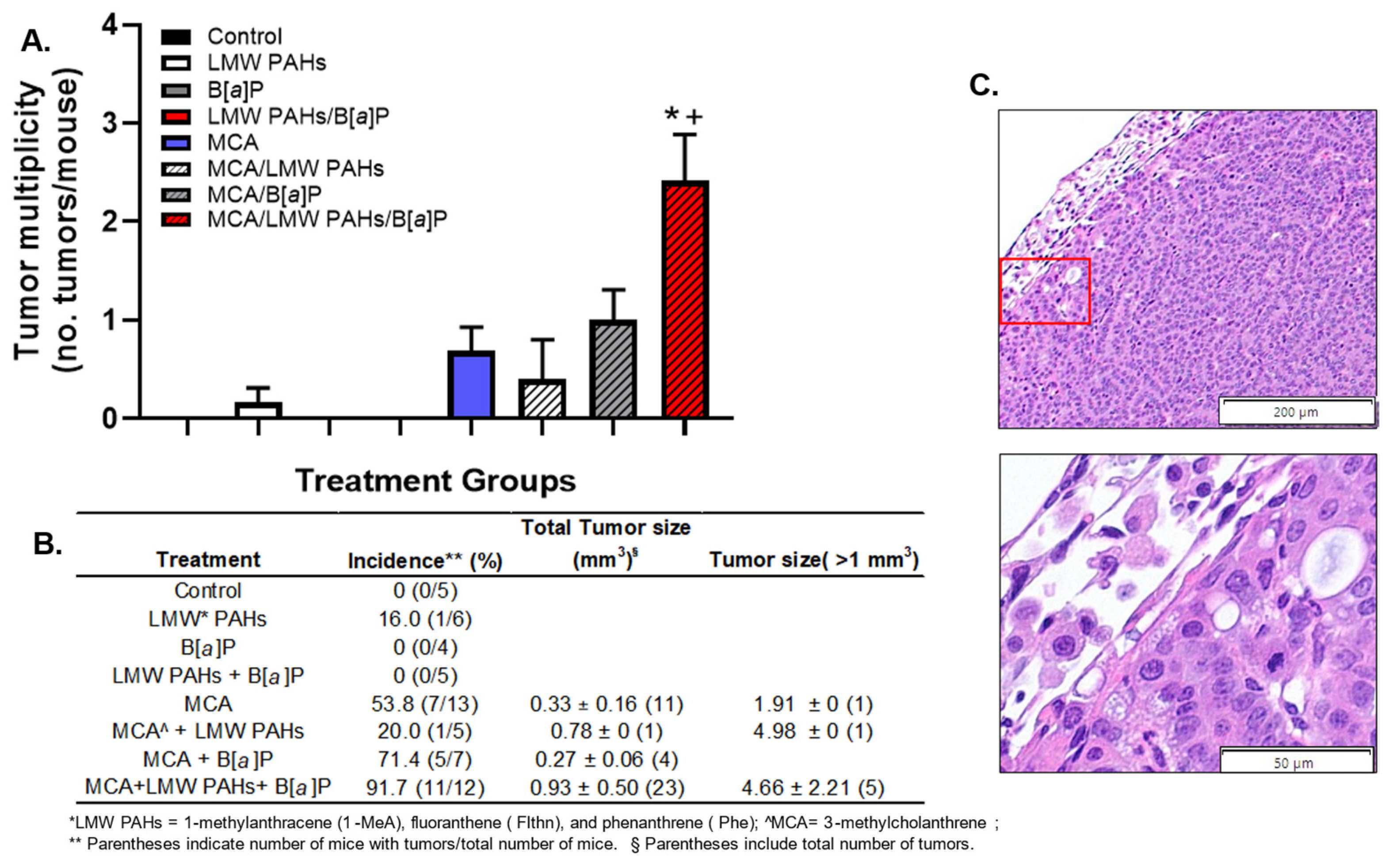 Toxics 12 00882 g002
