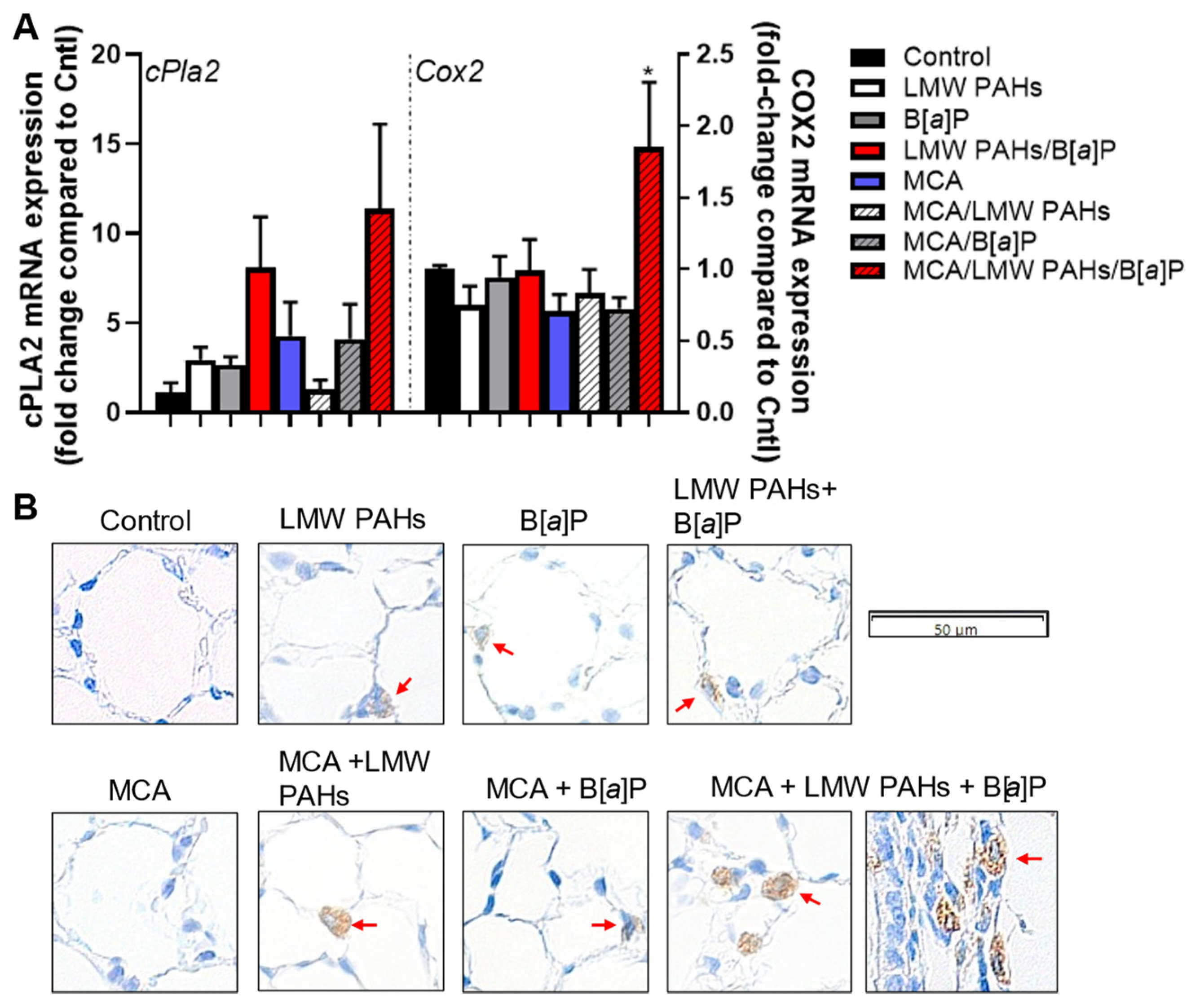Toxics 12 00882 g006