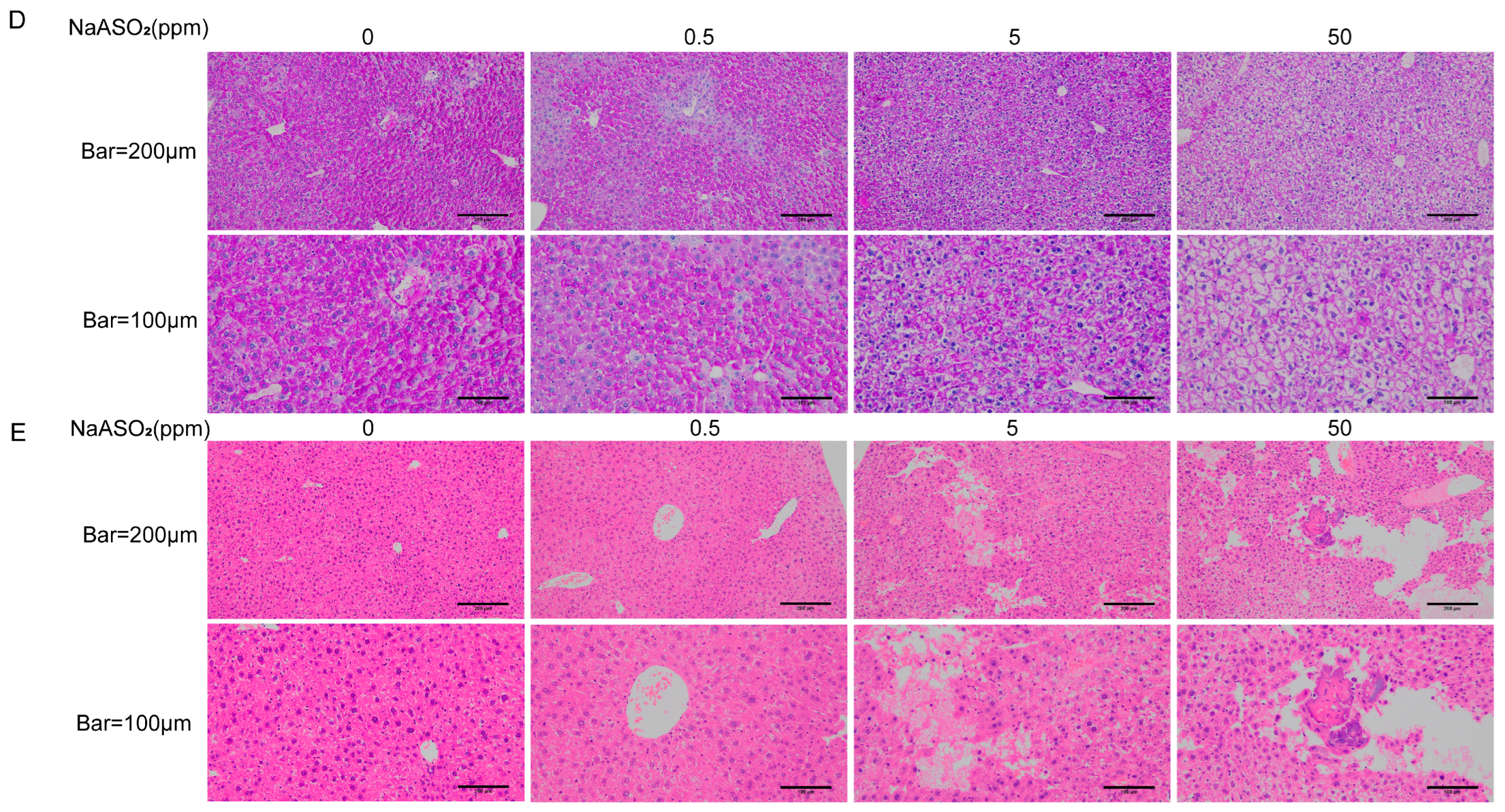 Toxics 12 00883 g001b