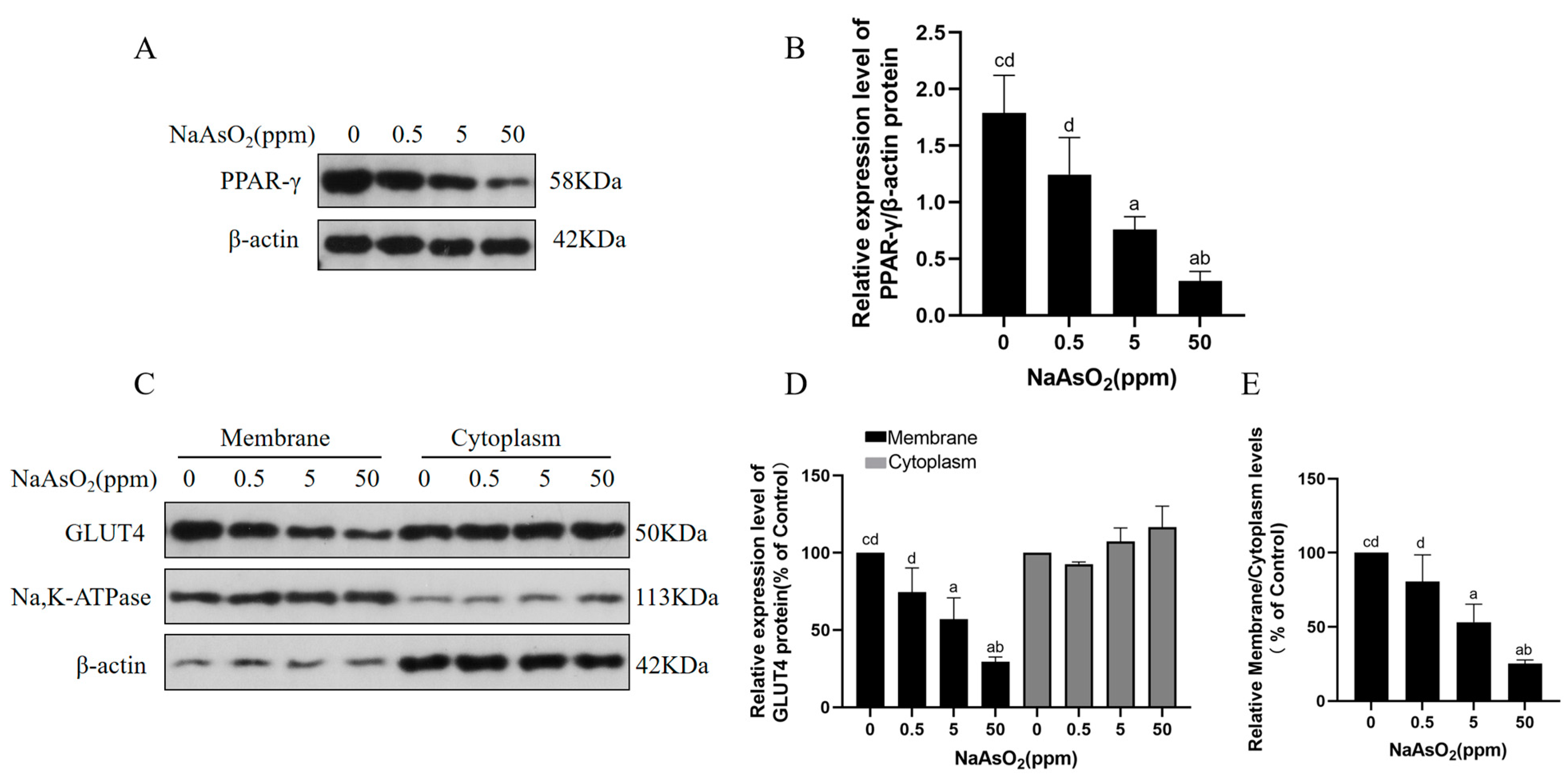 Toxics 12 00883 g003