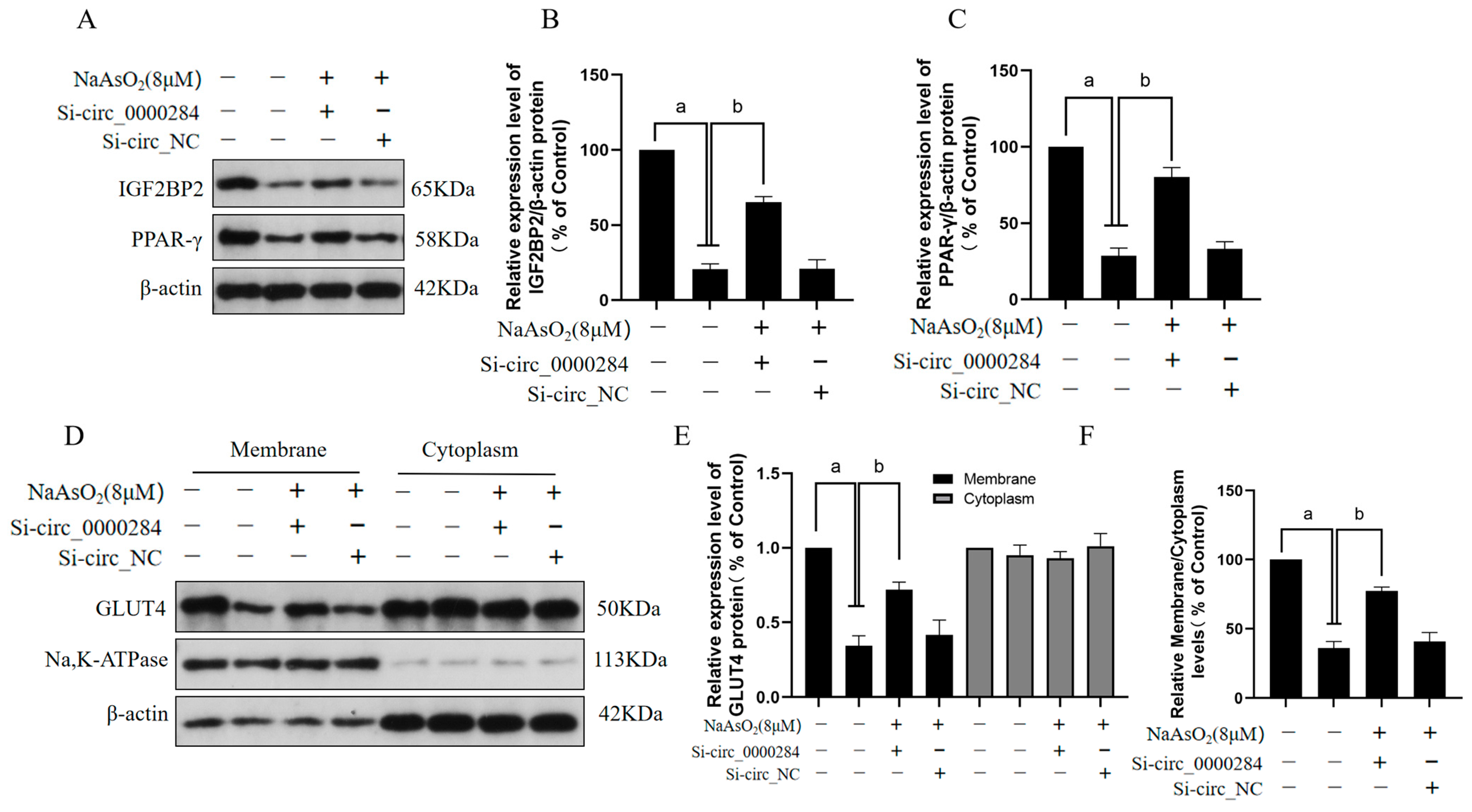 Toxics 12 00883 g007