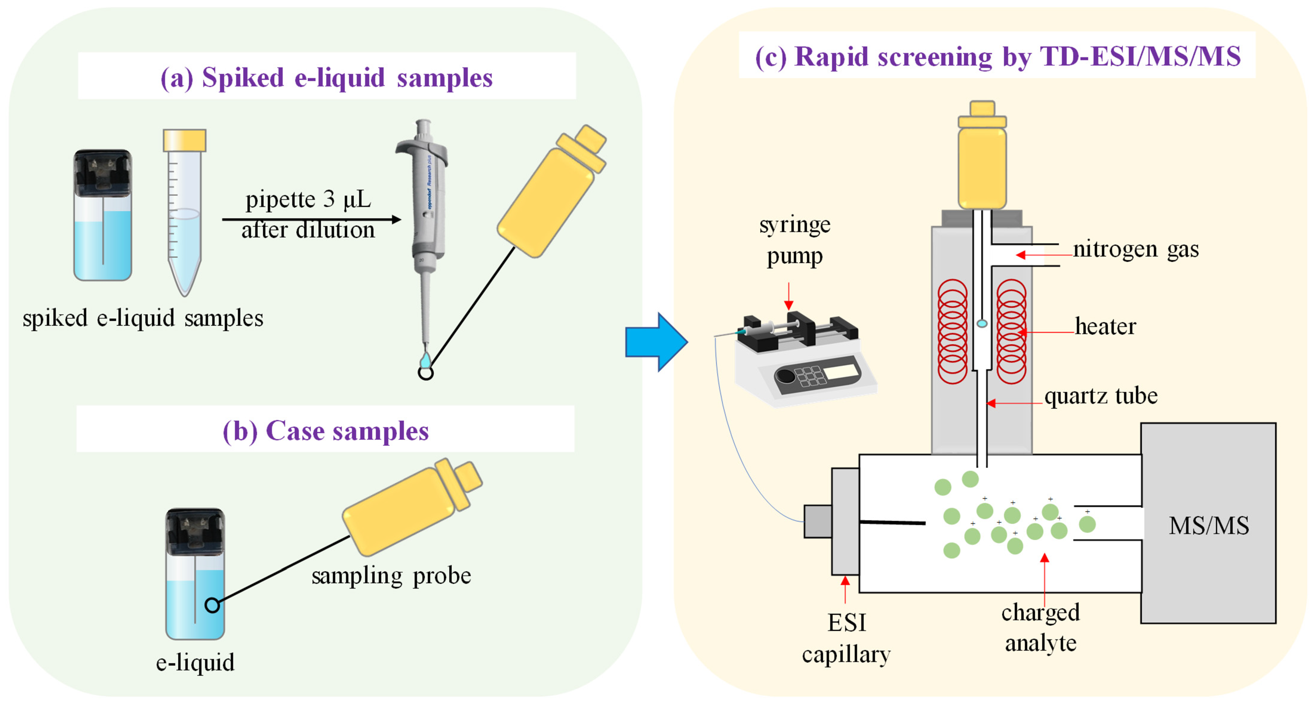 Toxics 12 00884 g001