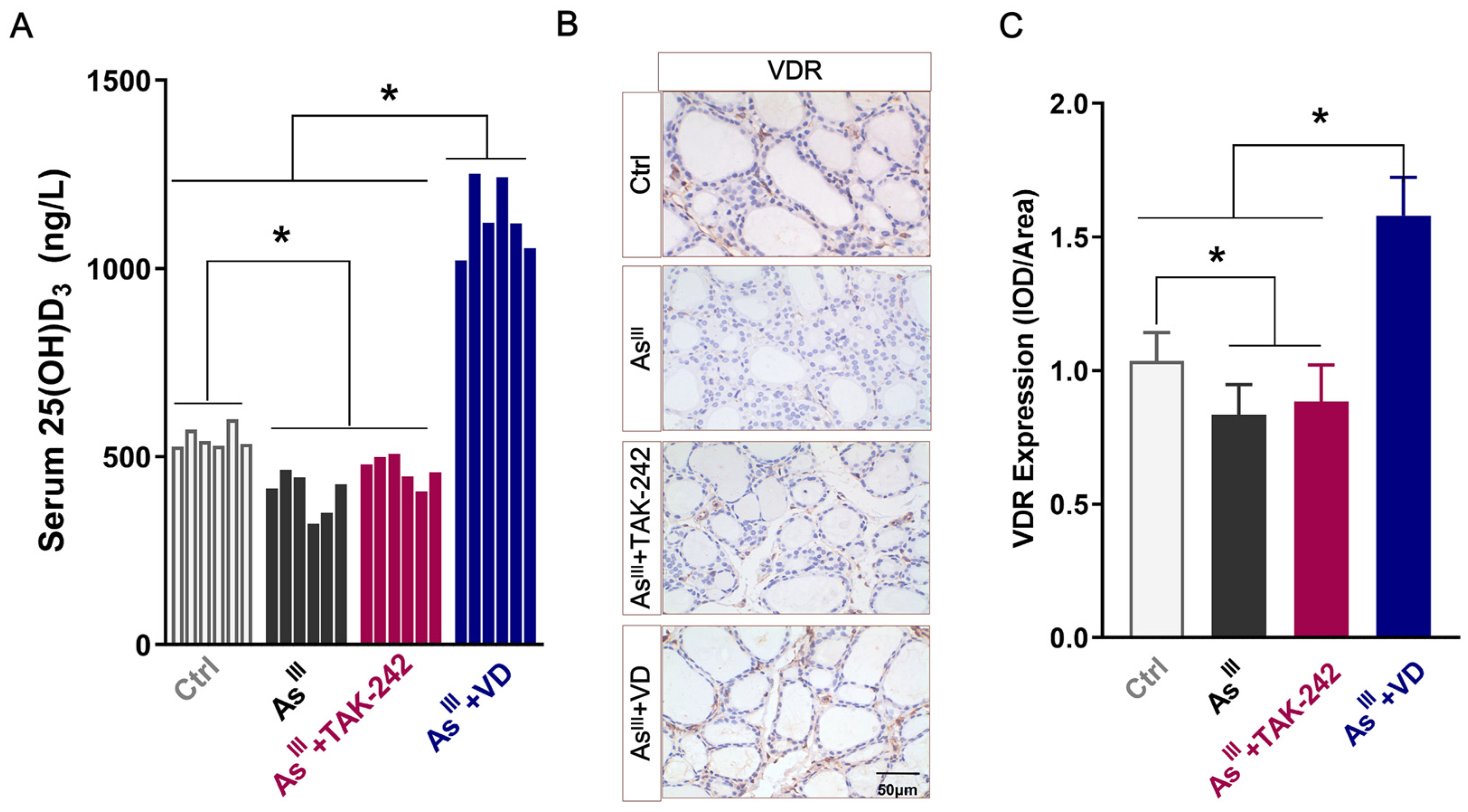Toxics 12 00887 g001