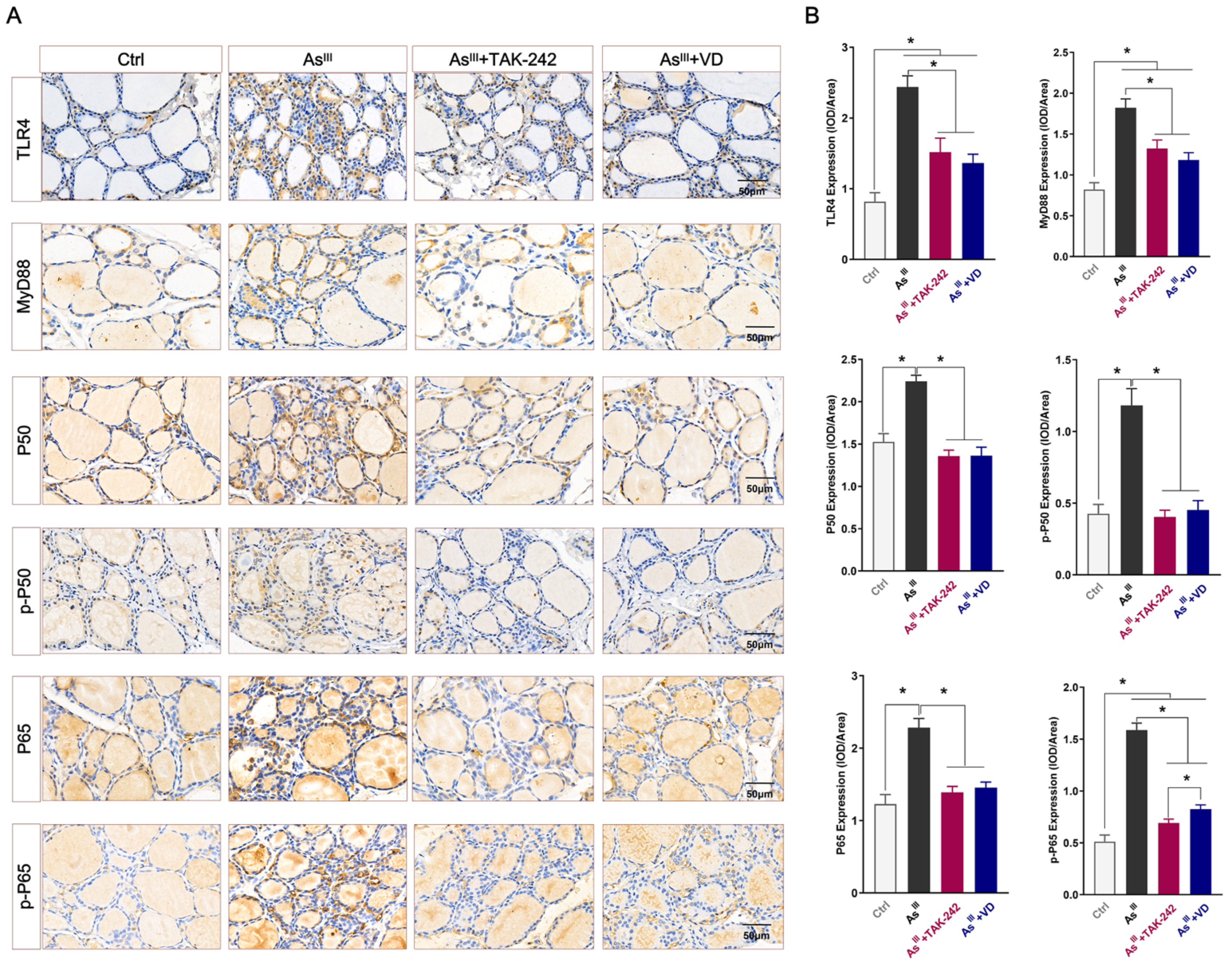 Toxics 12 00887 g002