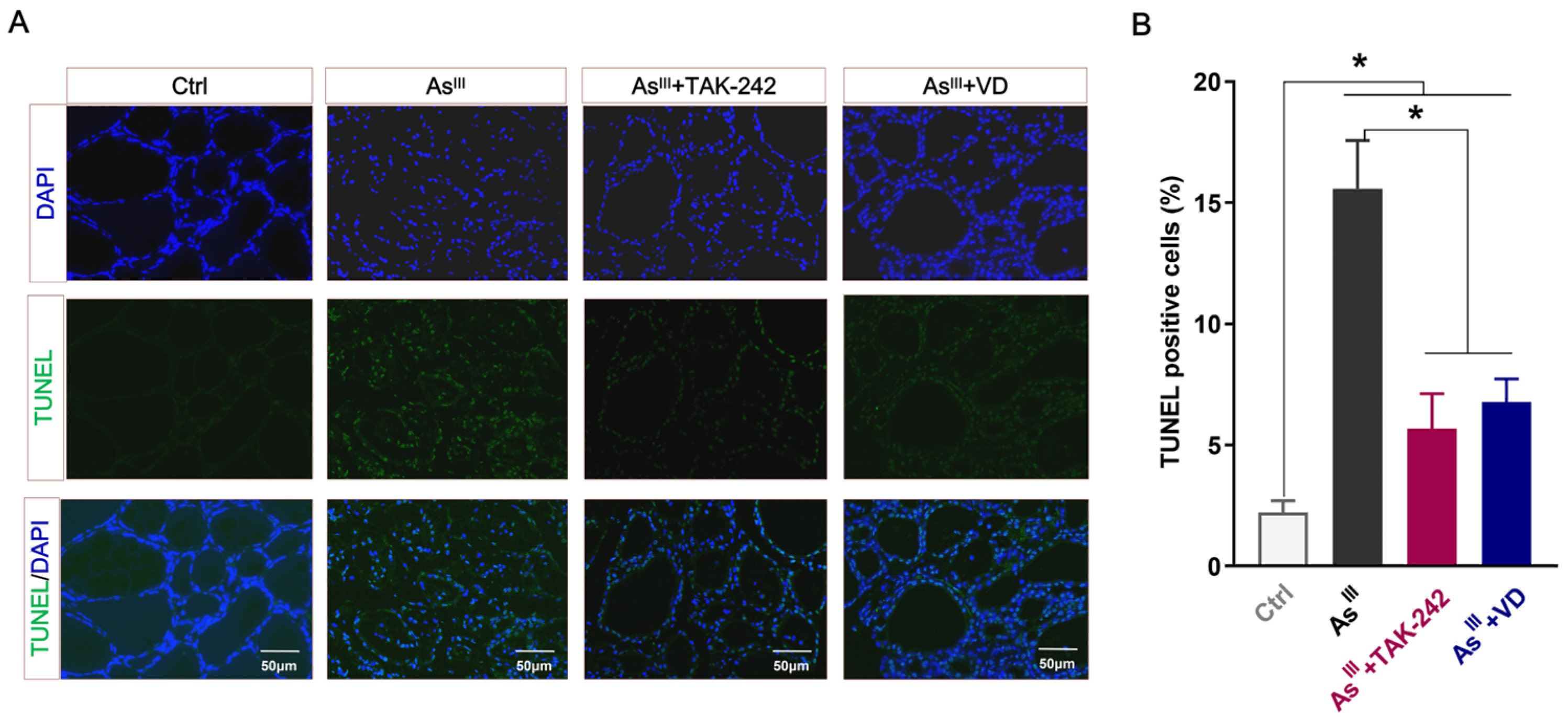 Toxics 12 00887 g004