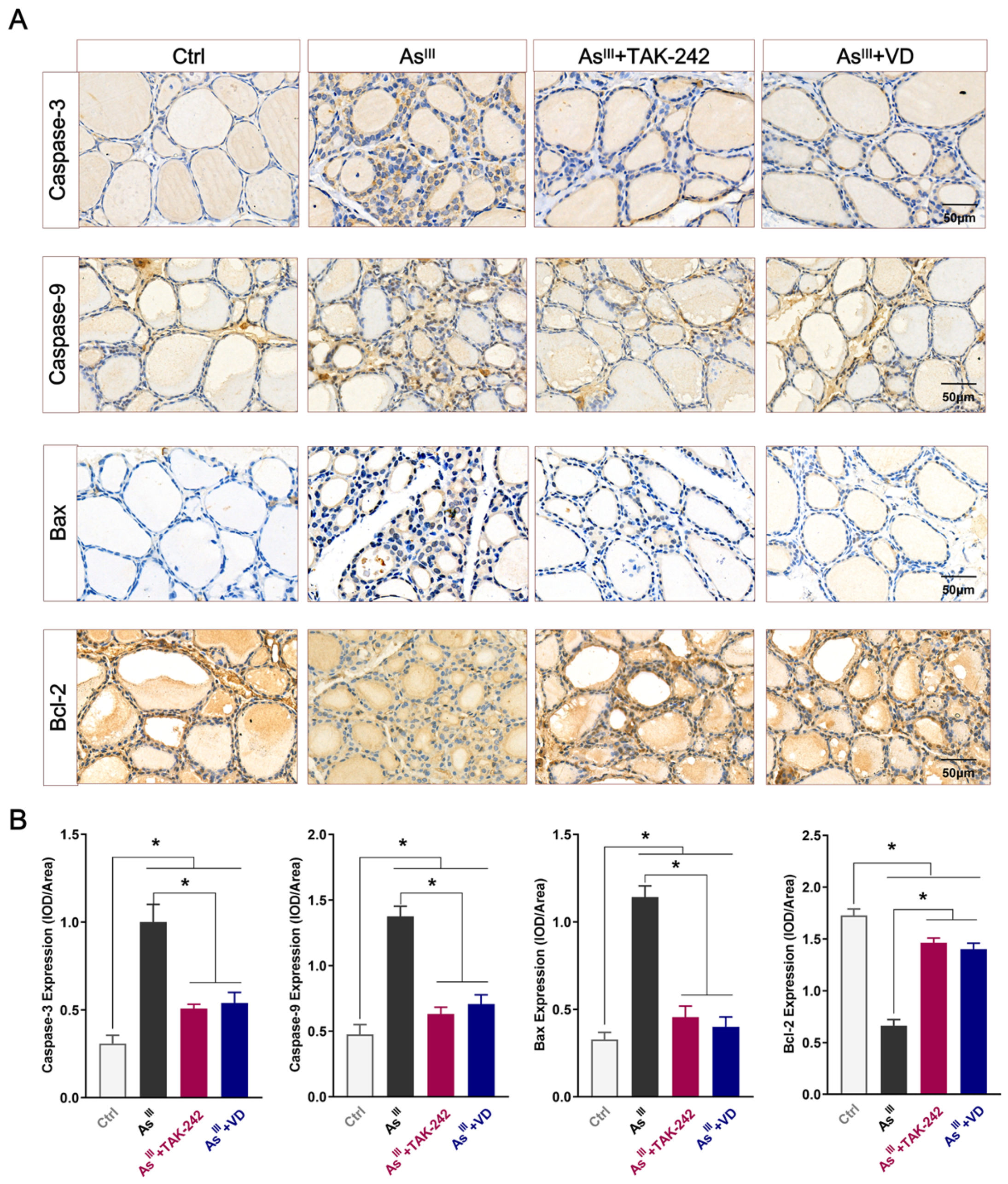 Toxics 12 00887 g005