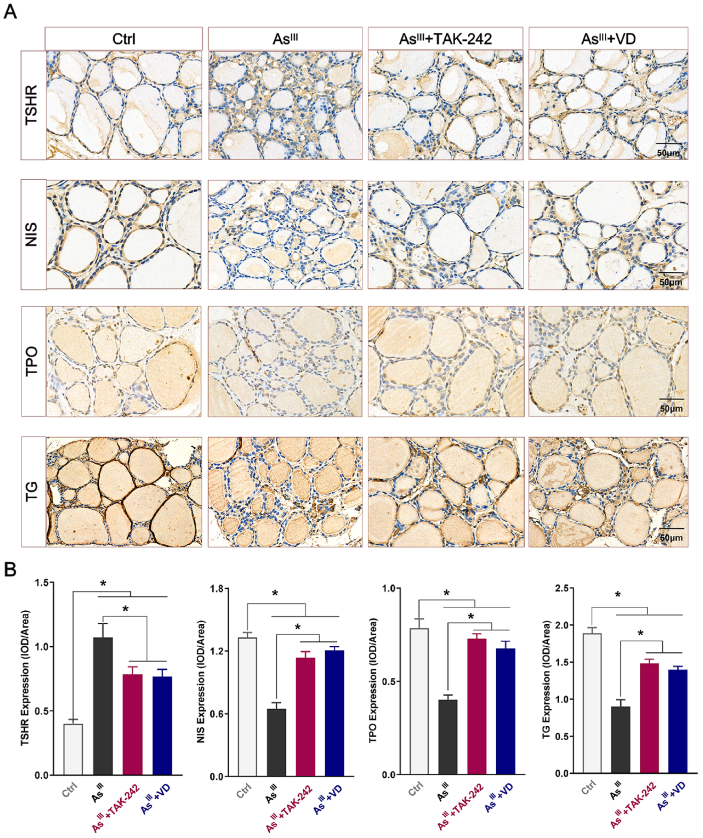 Toxics 12 00887 g006