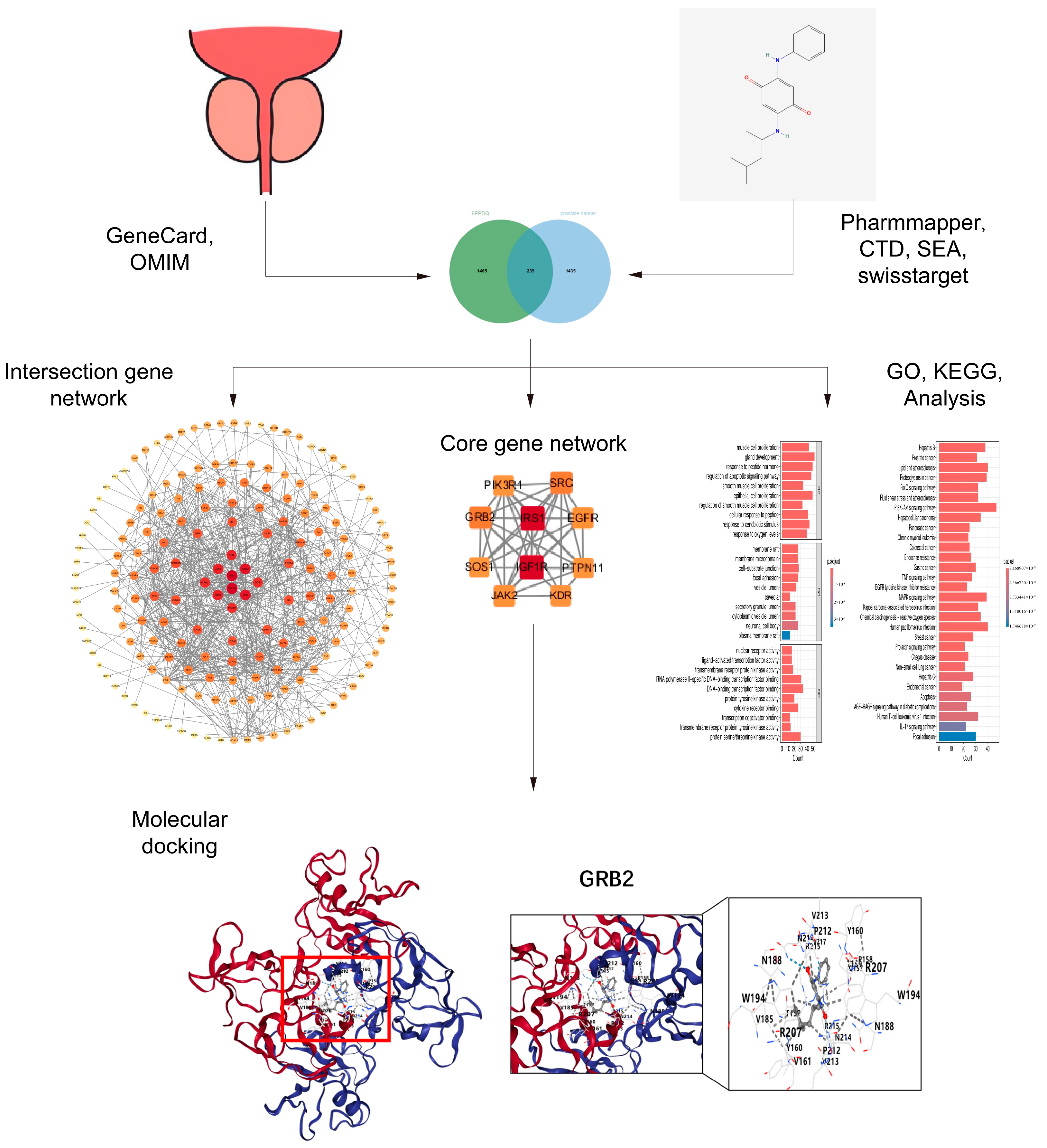 Toxics 12 00891 g001