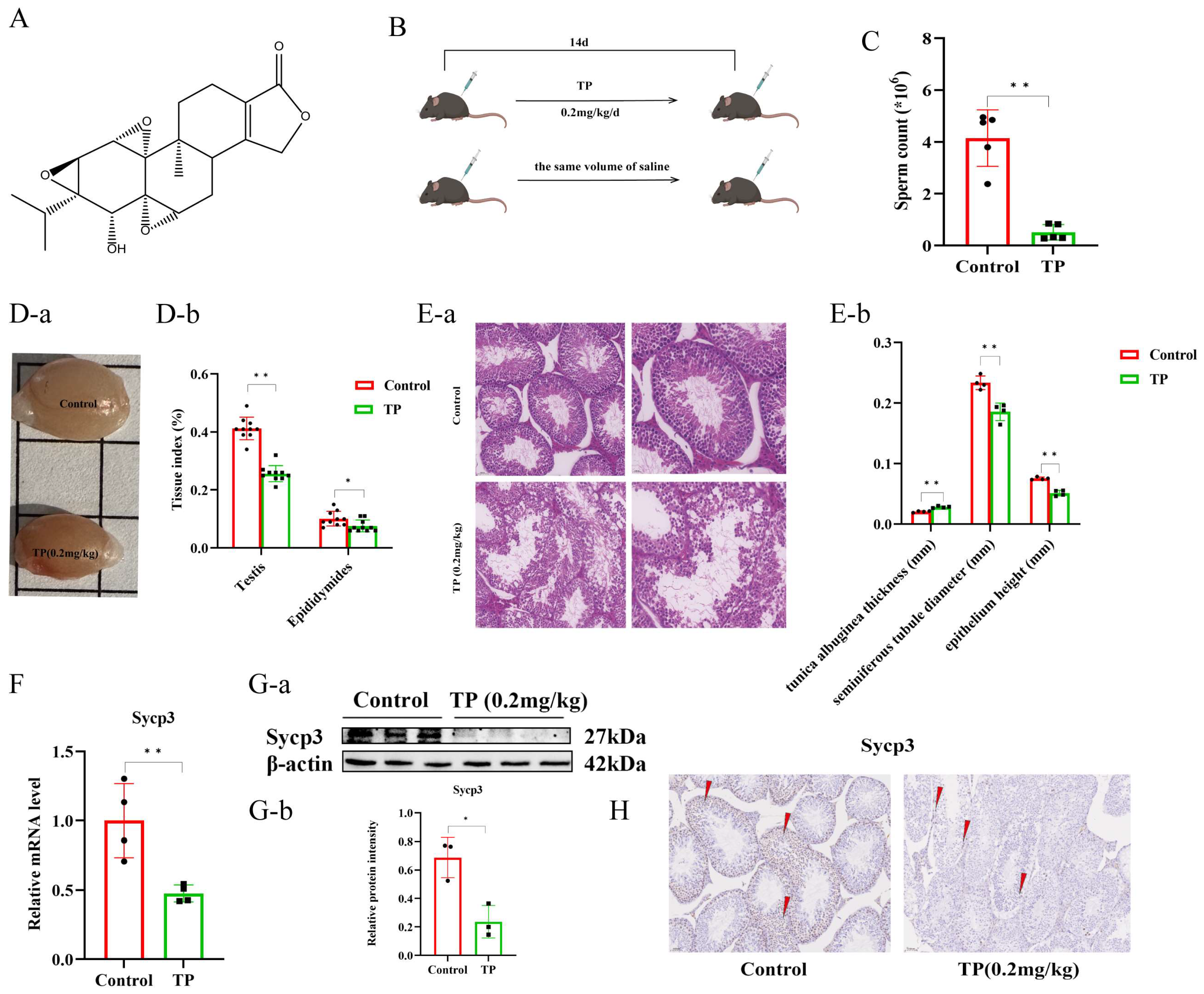 Toxics 12 00896 g001