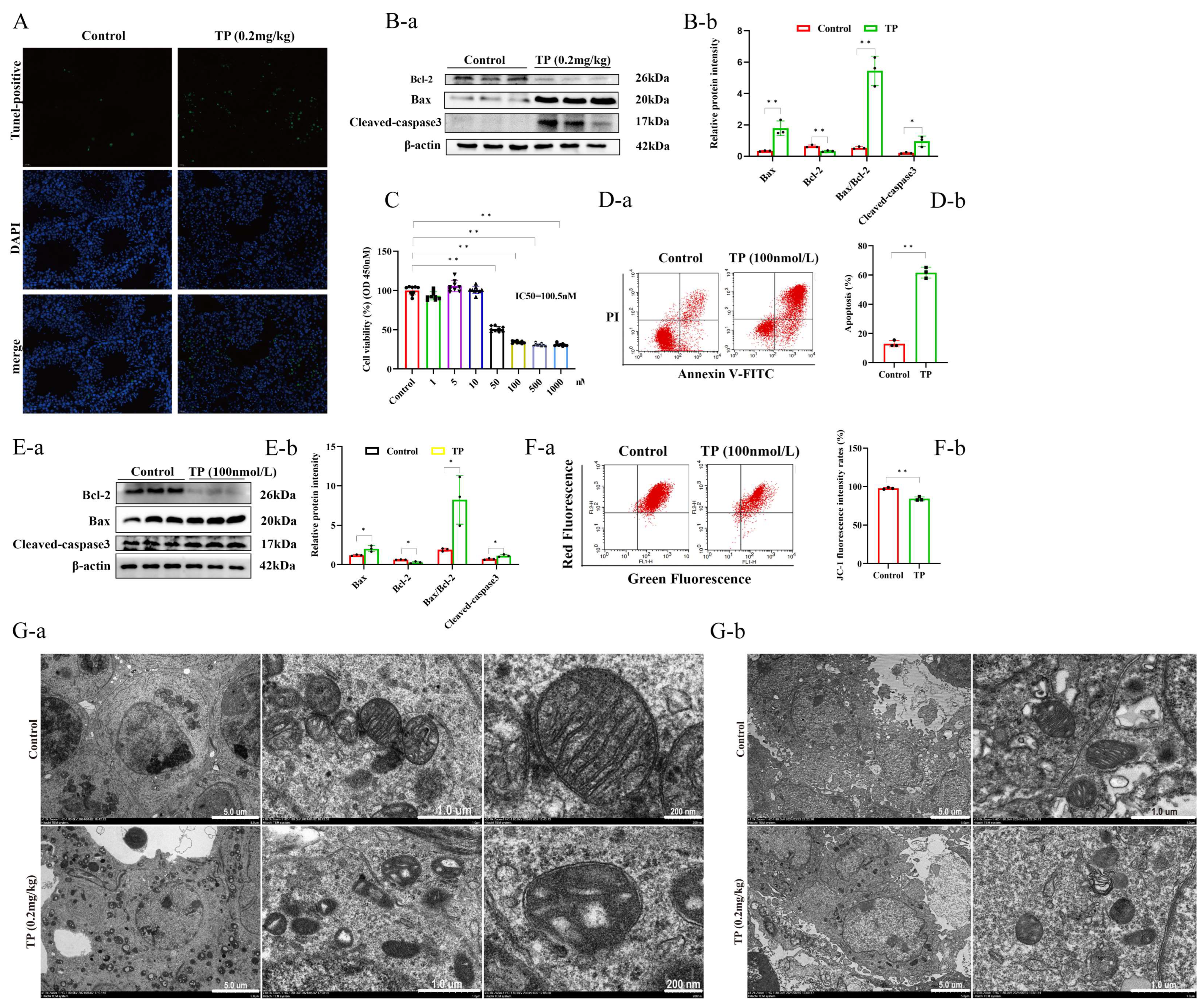 Toxics 12 00896 g003