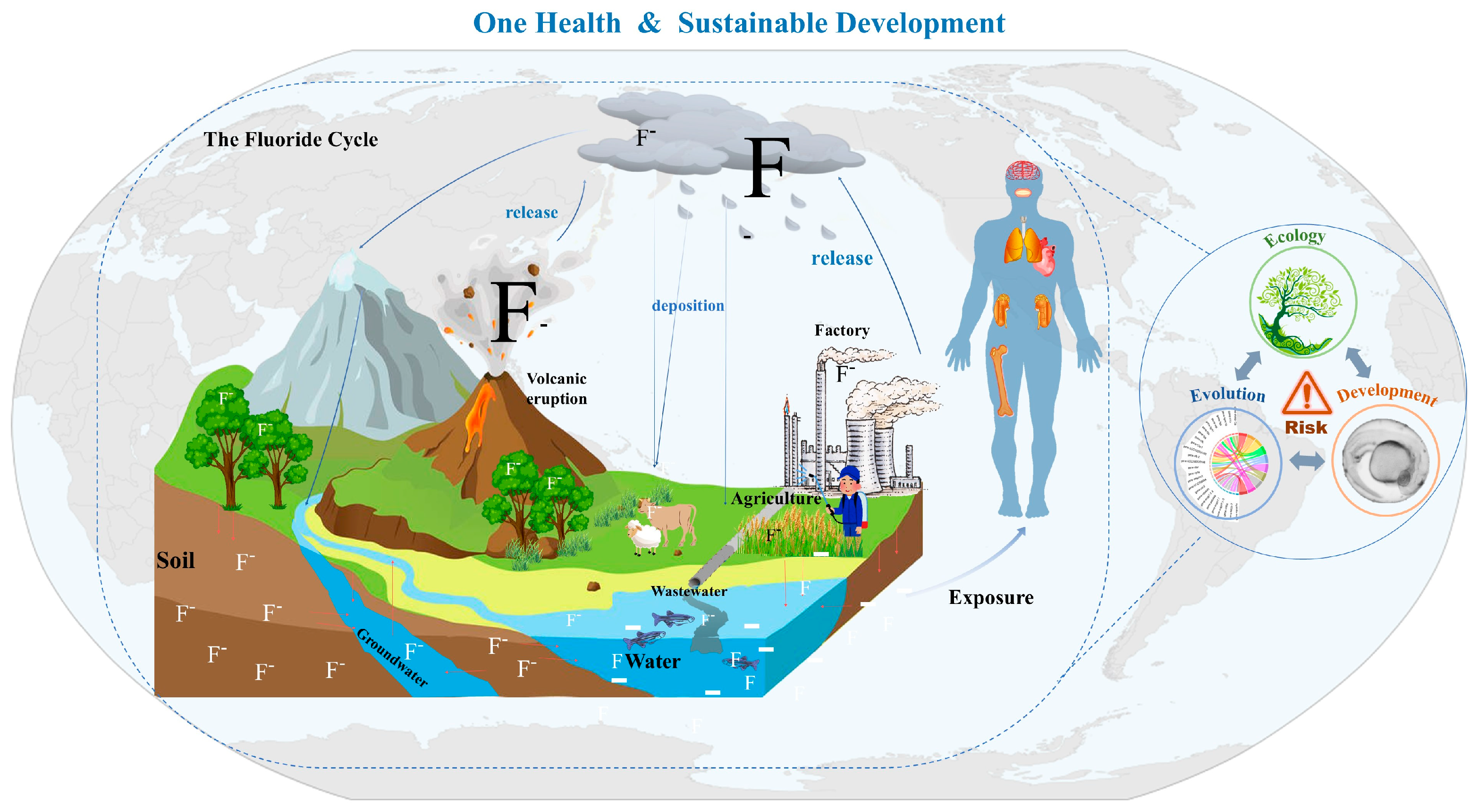 Toxics 12 00902 g005
