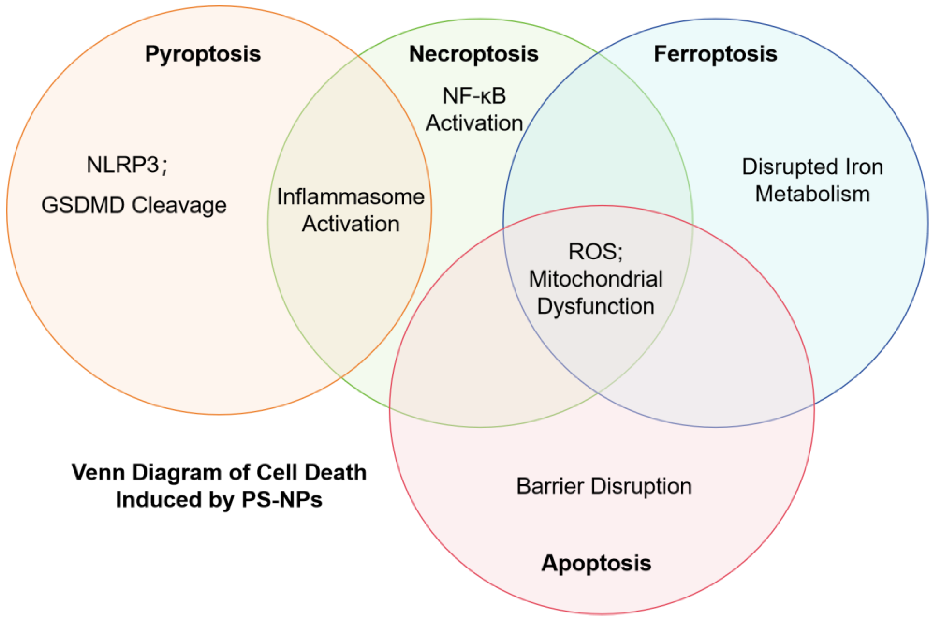 Toxics 12 00908 g002