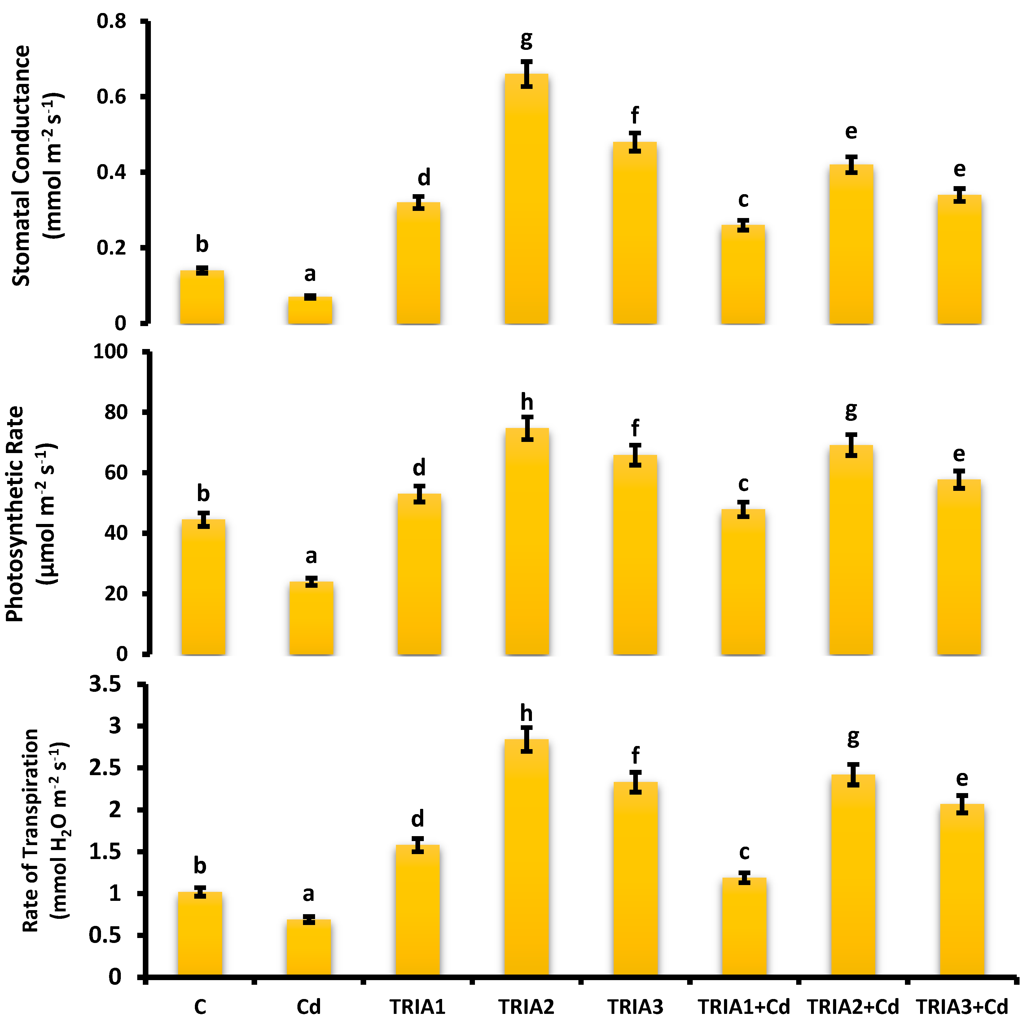 Toxics 12 00911 g002