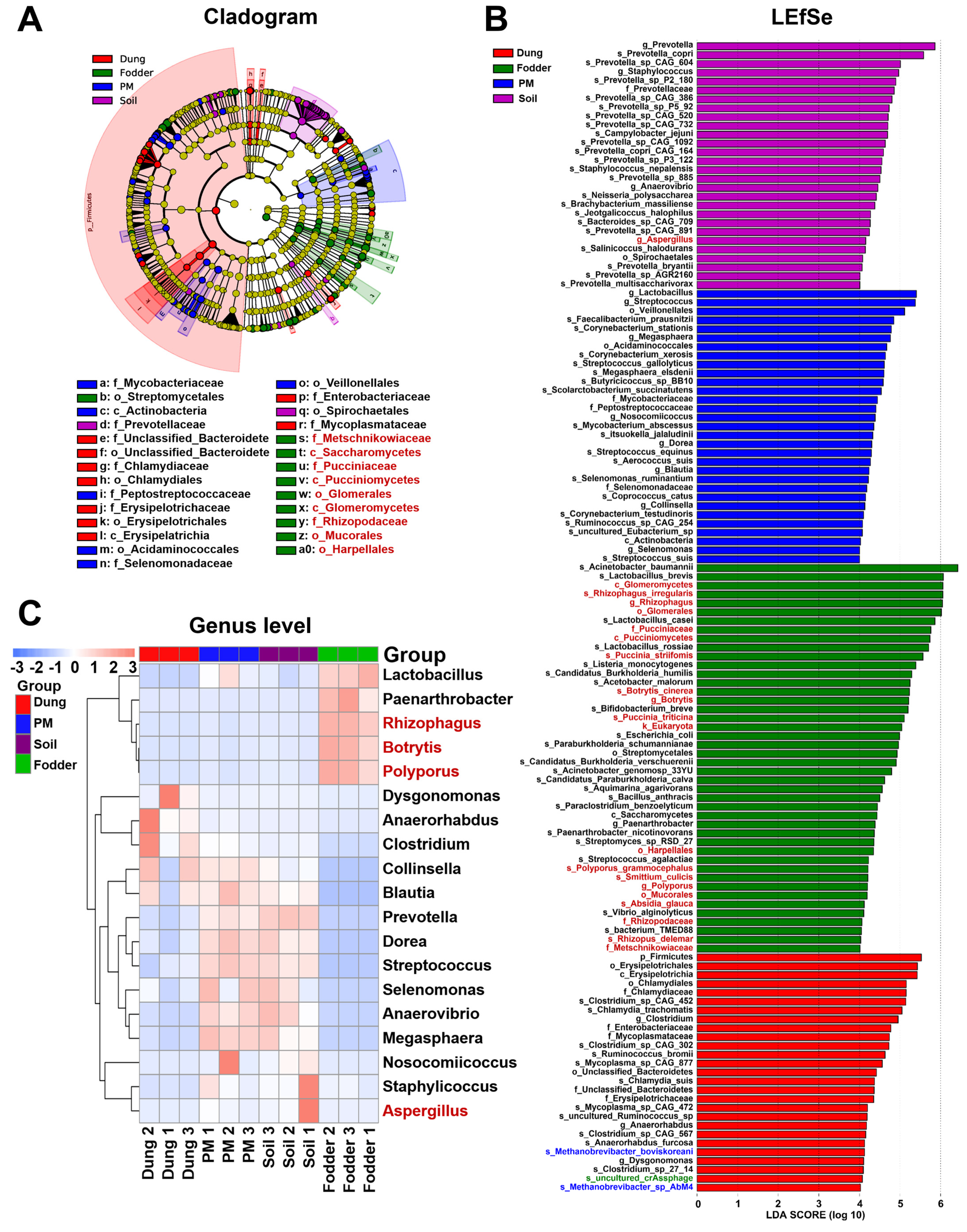 Toxics 12 00916 g005