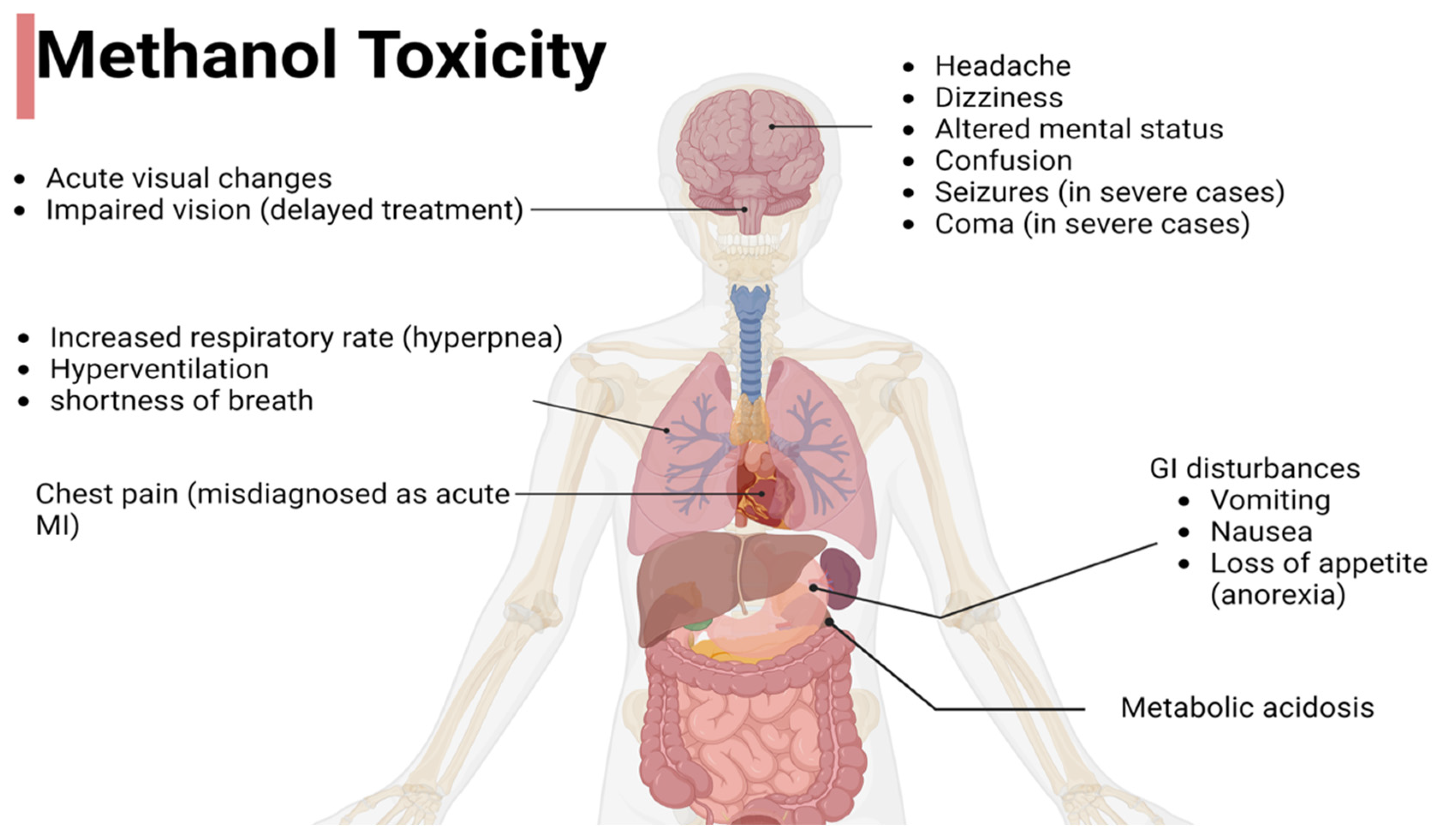 Toxics 12 00924 g002