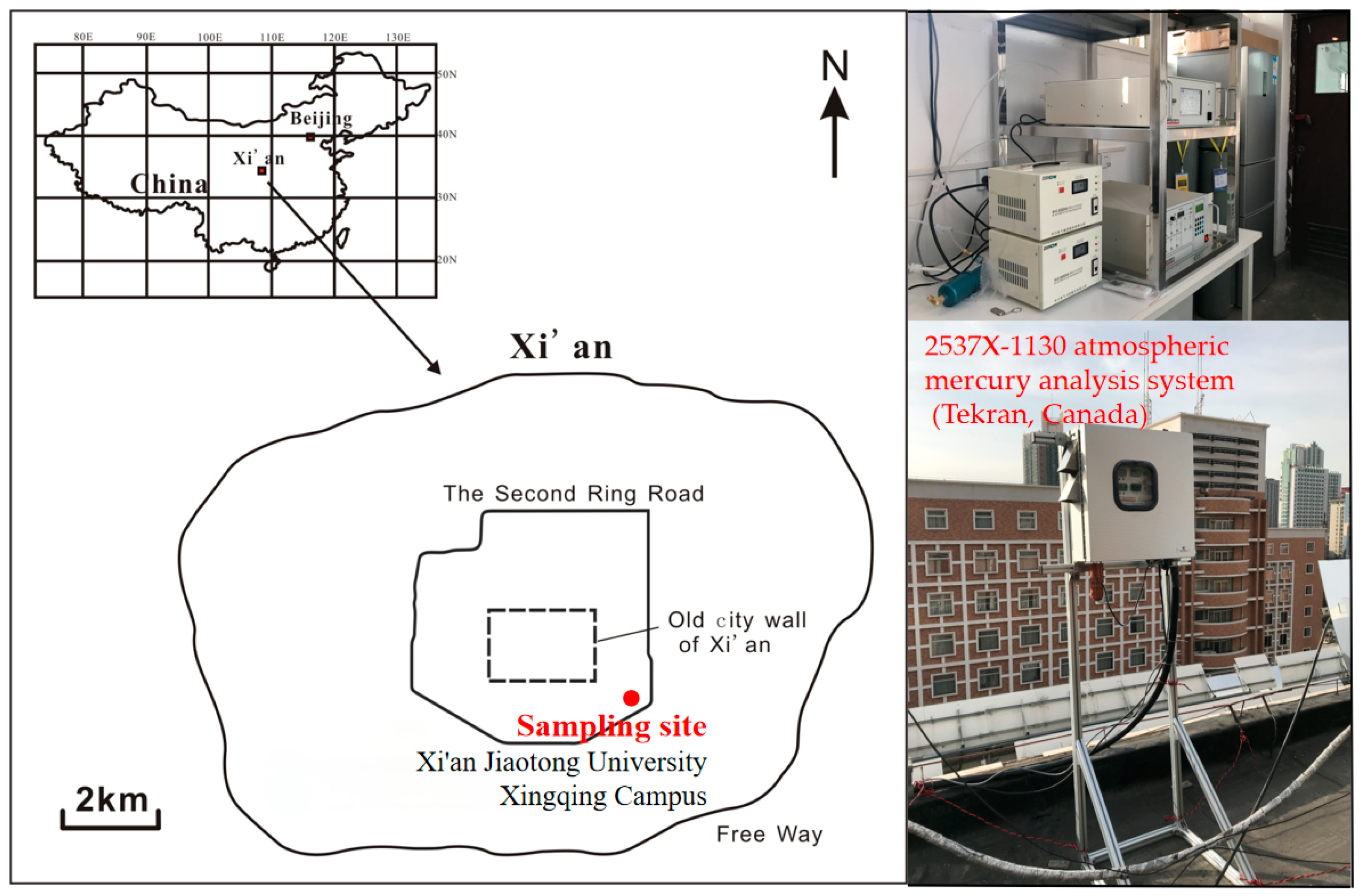 Toxics 12 00935 g001