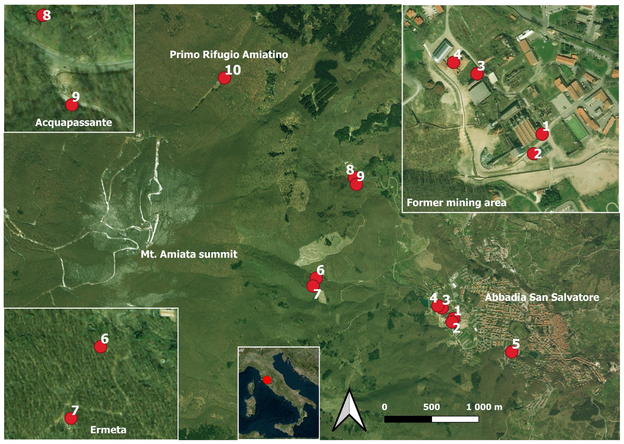 Toxics 13 00002 g001