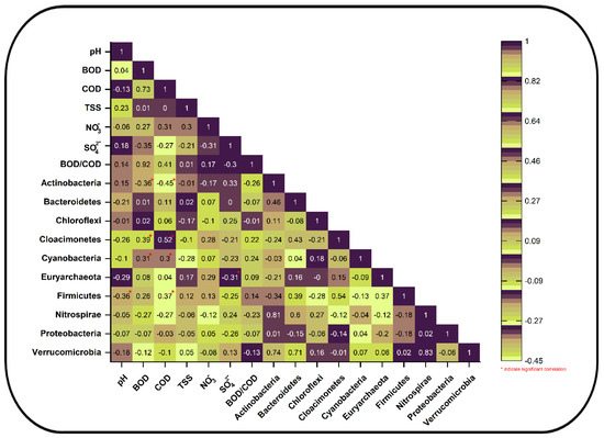 Assessment of Bacterial Community Structure, Associated Functional