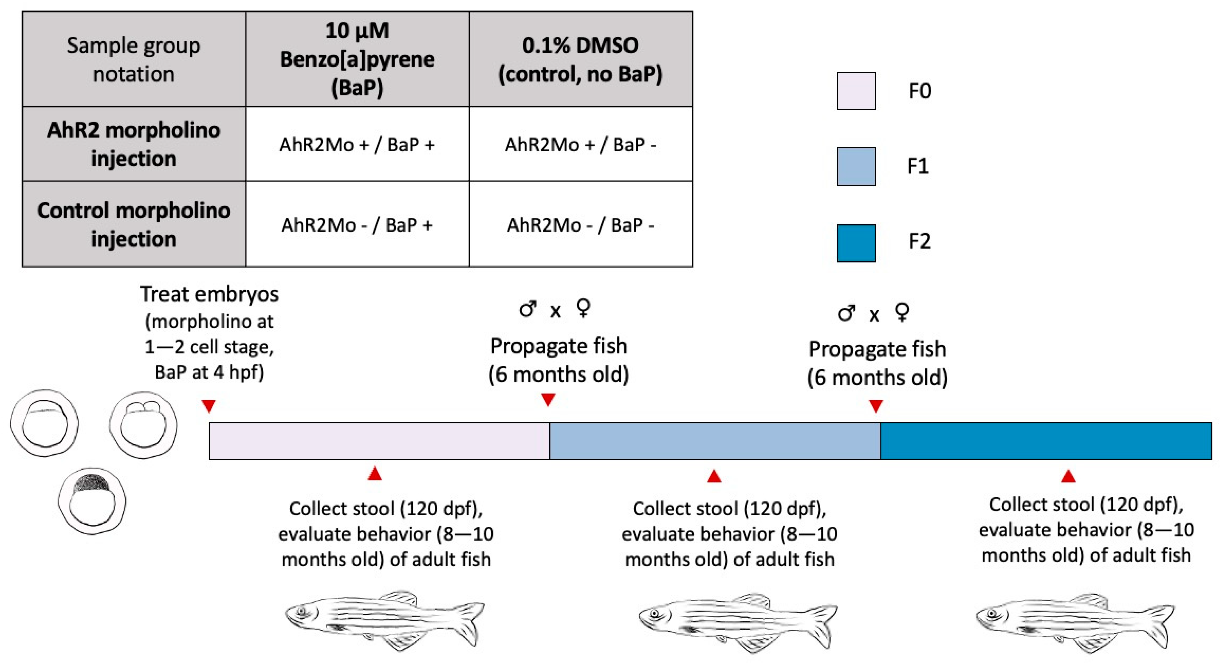 Toxics 13 00010 g001 Toxics 13 00010 g001