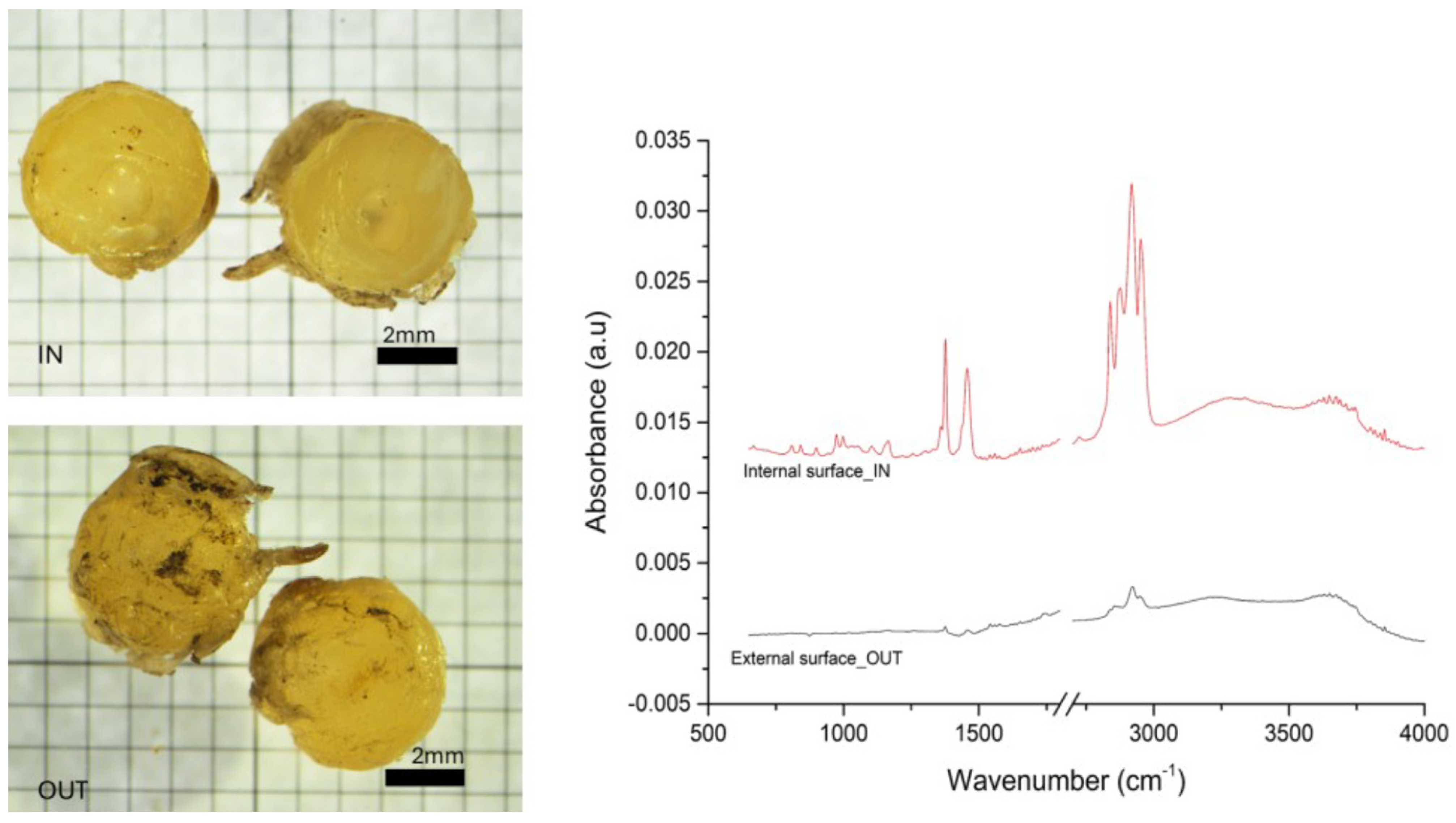 Toxics 13 00013 g004