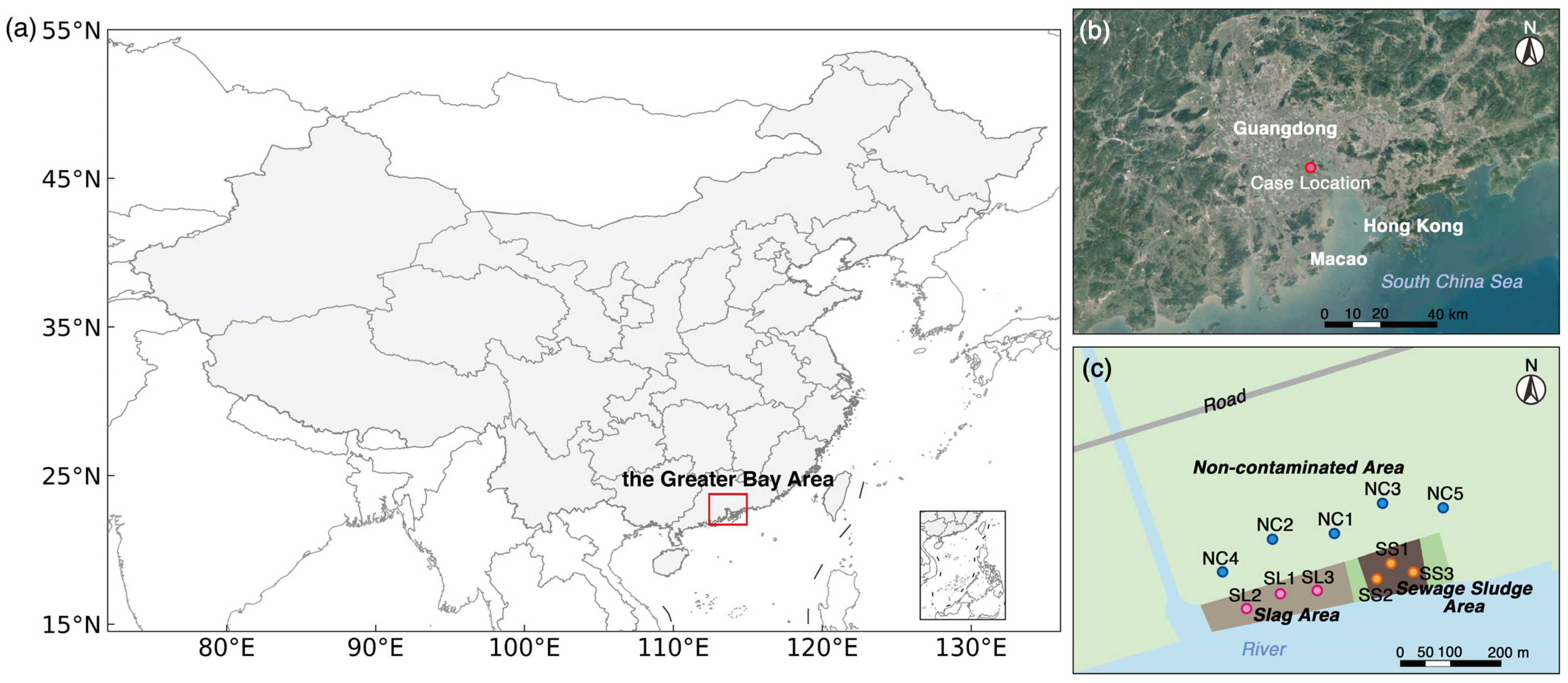 Toxics 13 00020 g001