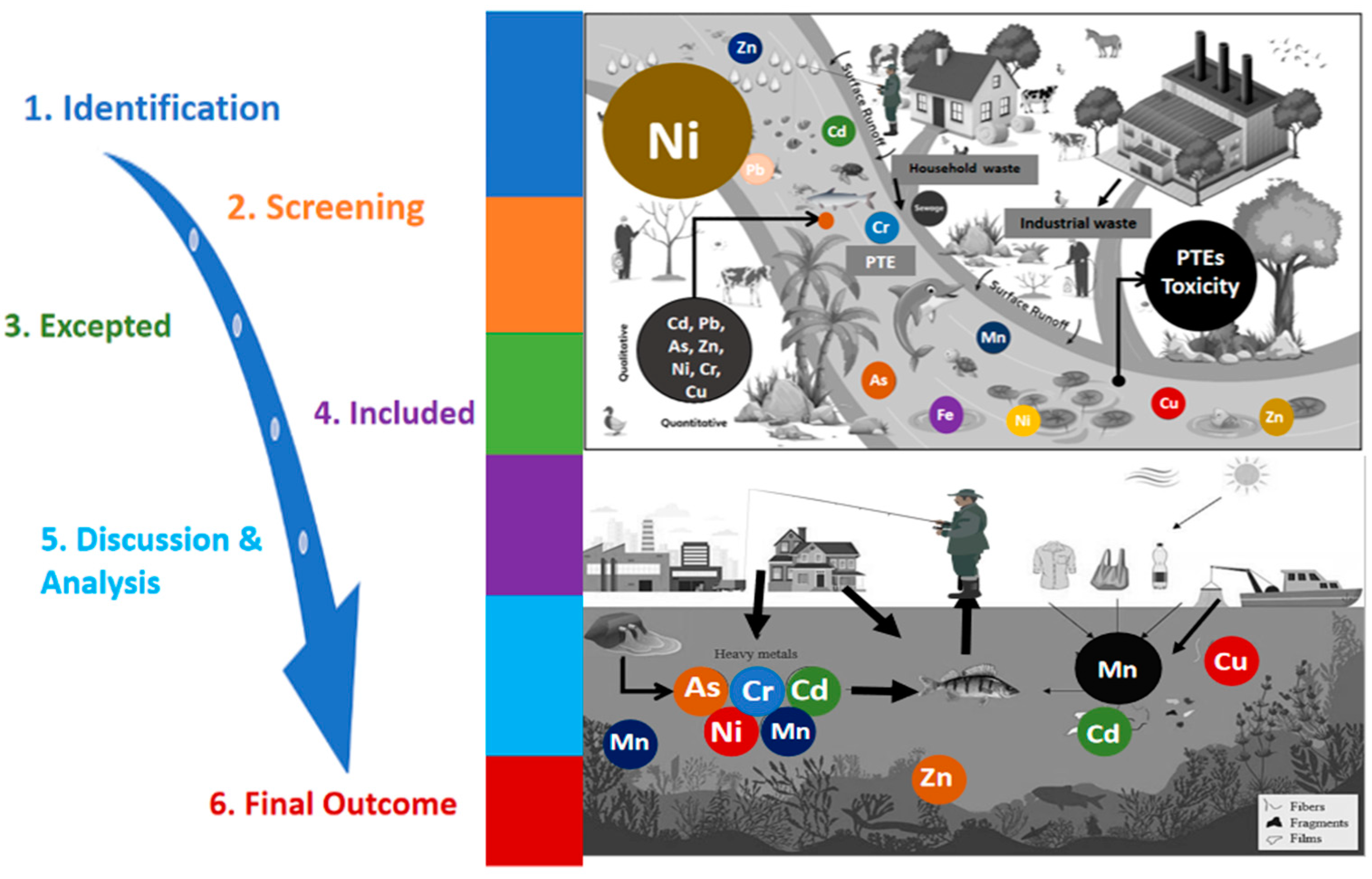 Toxics 13 00026 g001