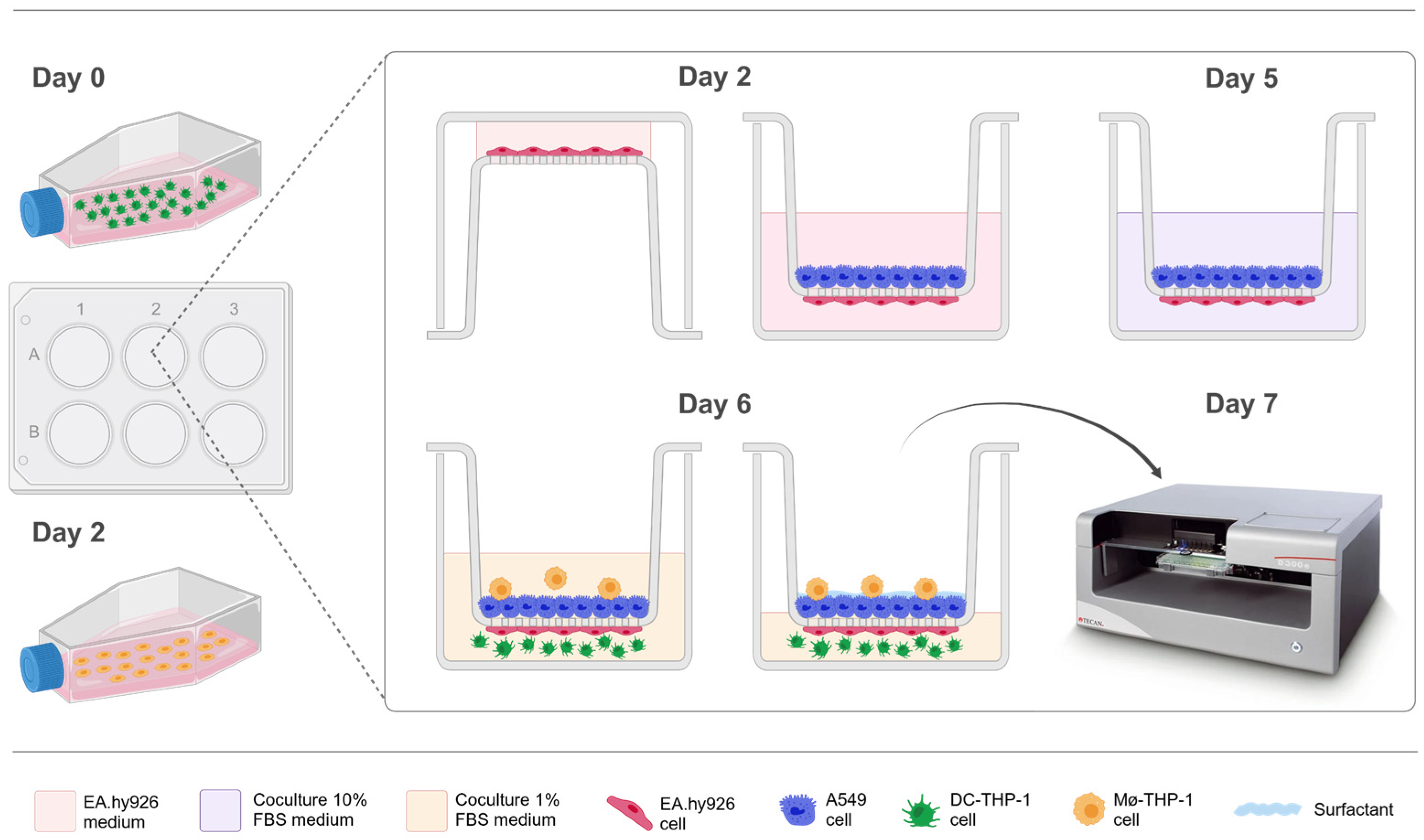 Toxics 13 00029 g001