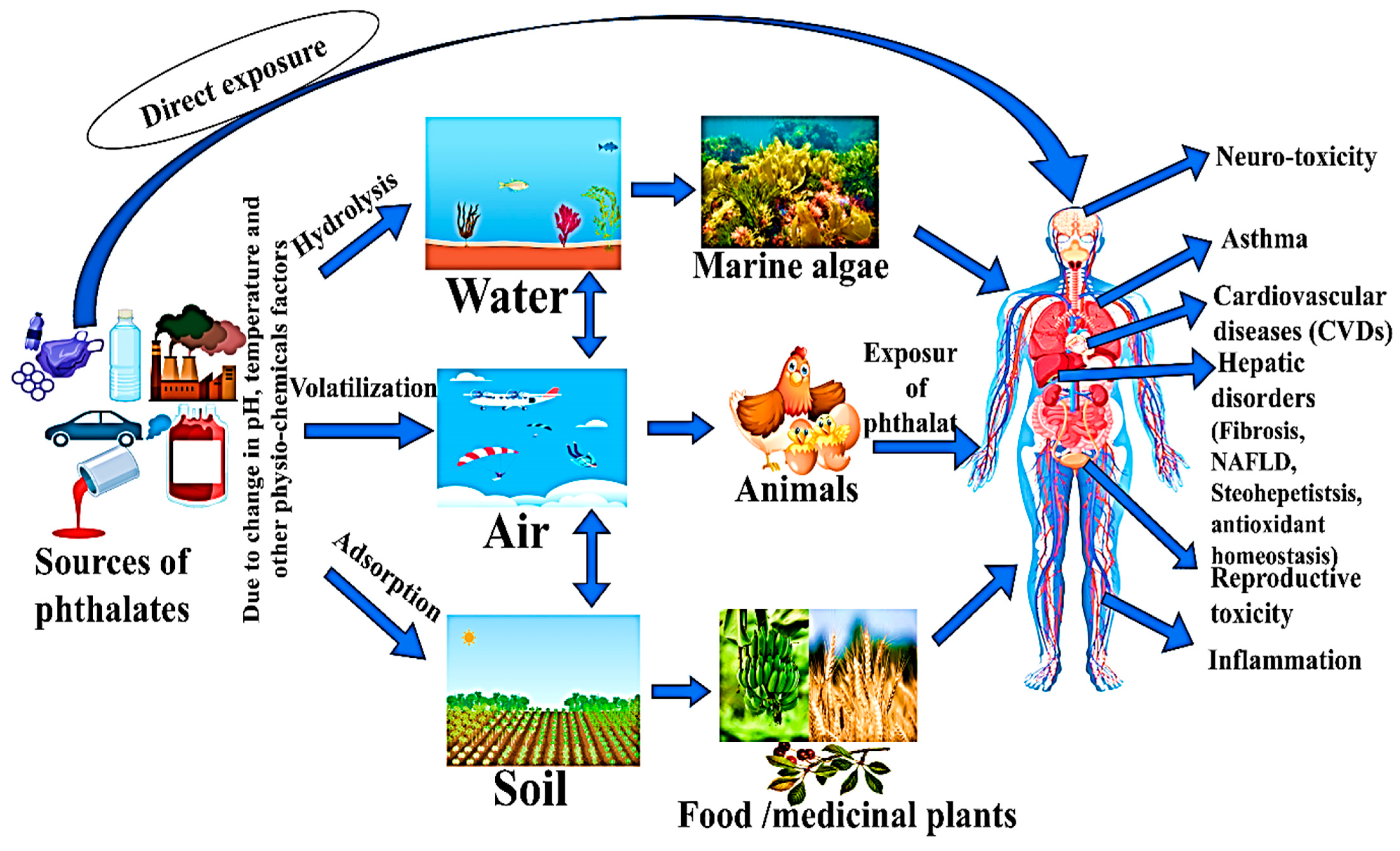 Toxics 13 00032 g002