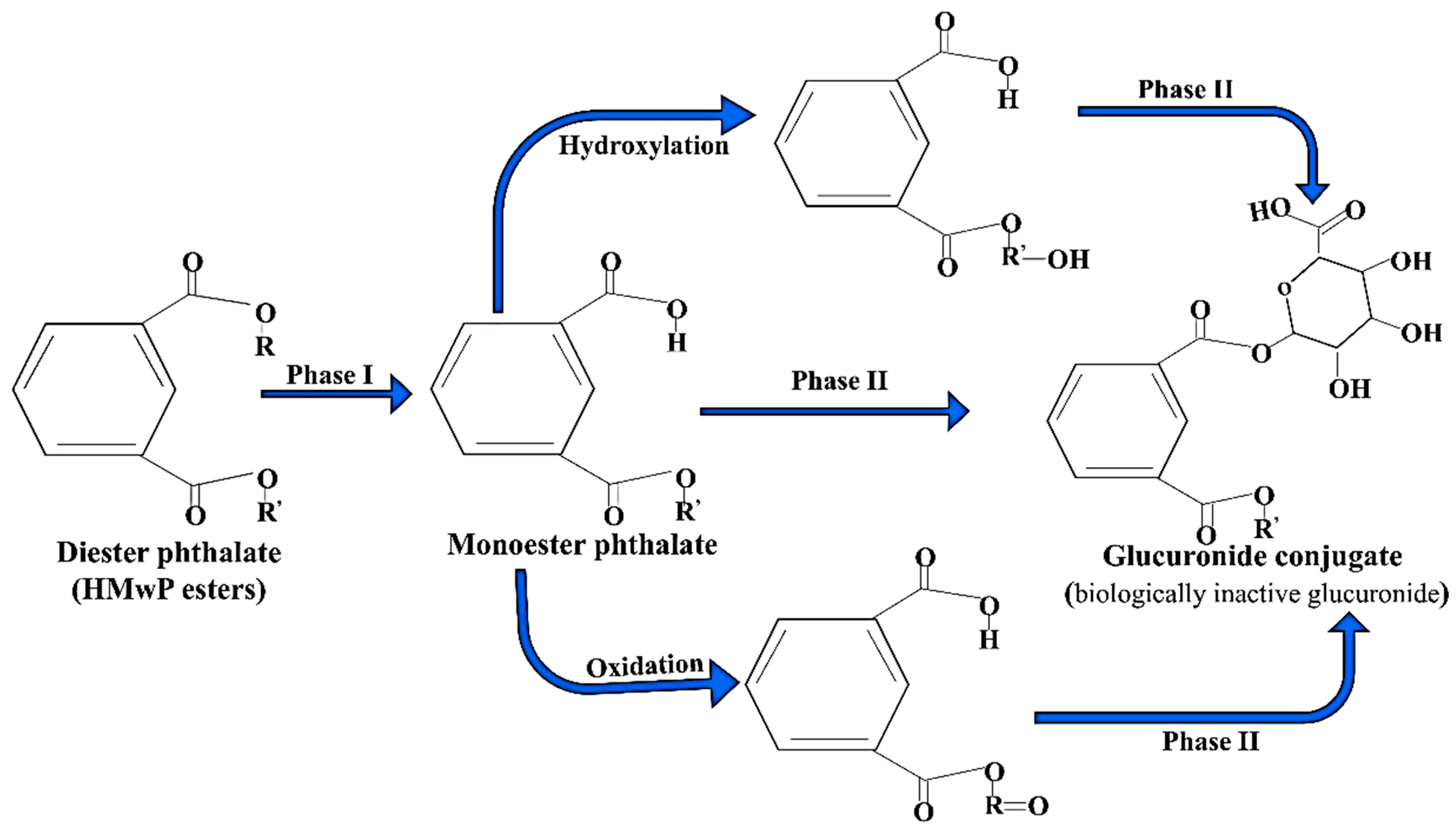 Toxics 13 00032 g003