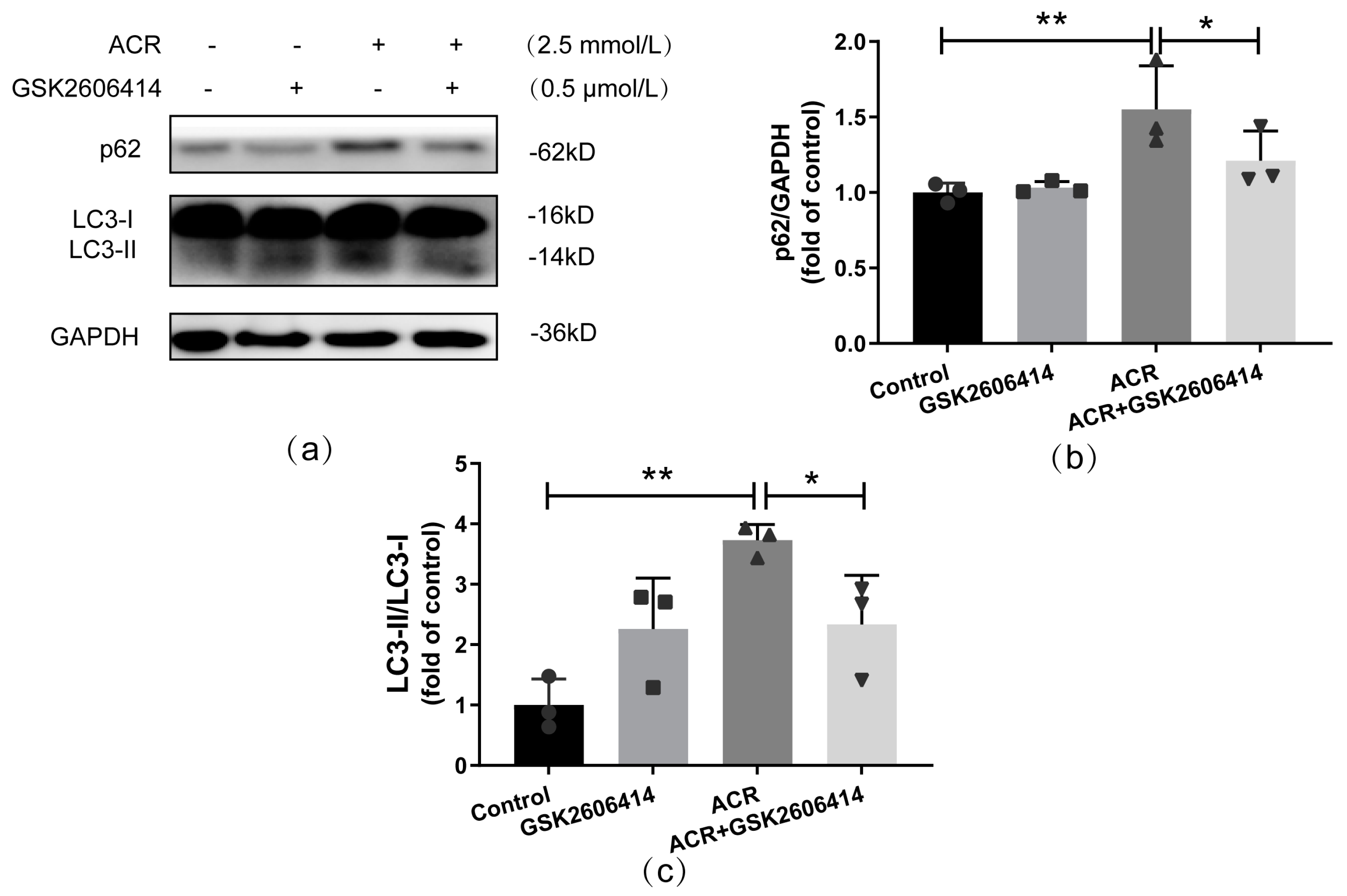 Toxics 13 00041 g006