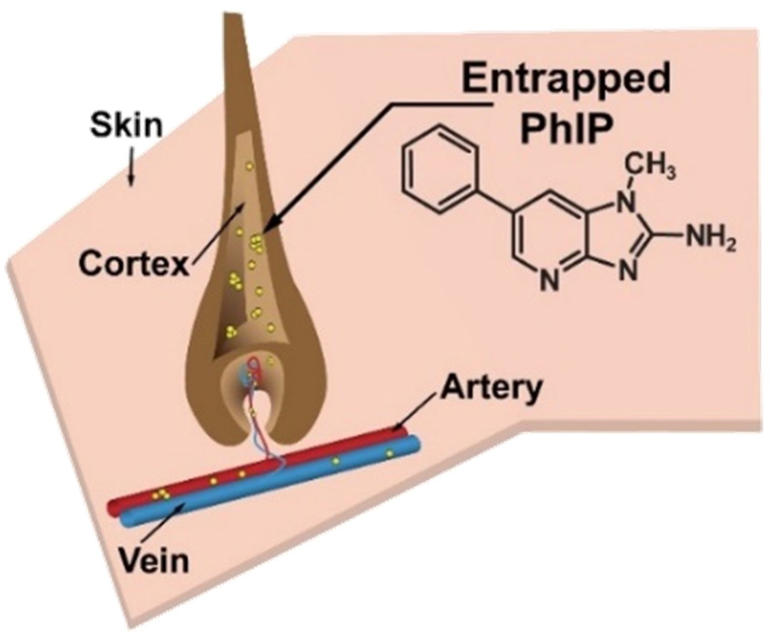 Toxics 13 00042 g001