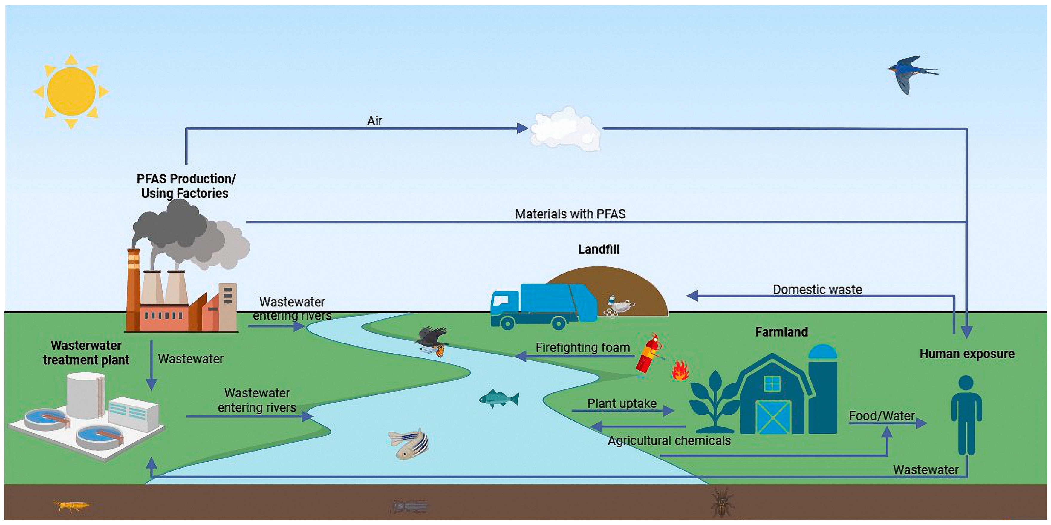 Toxics 13 00047 g001