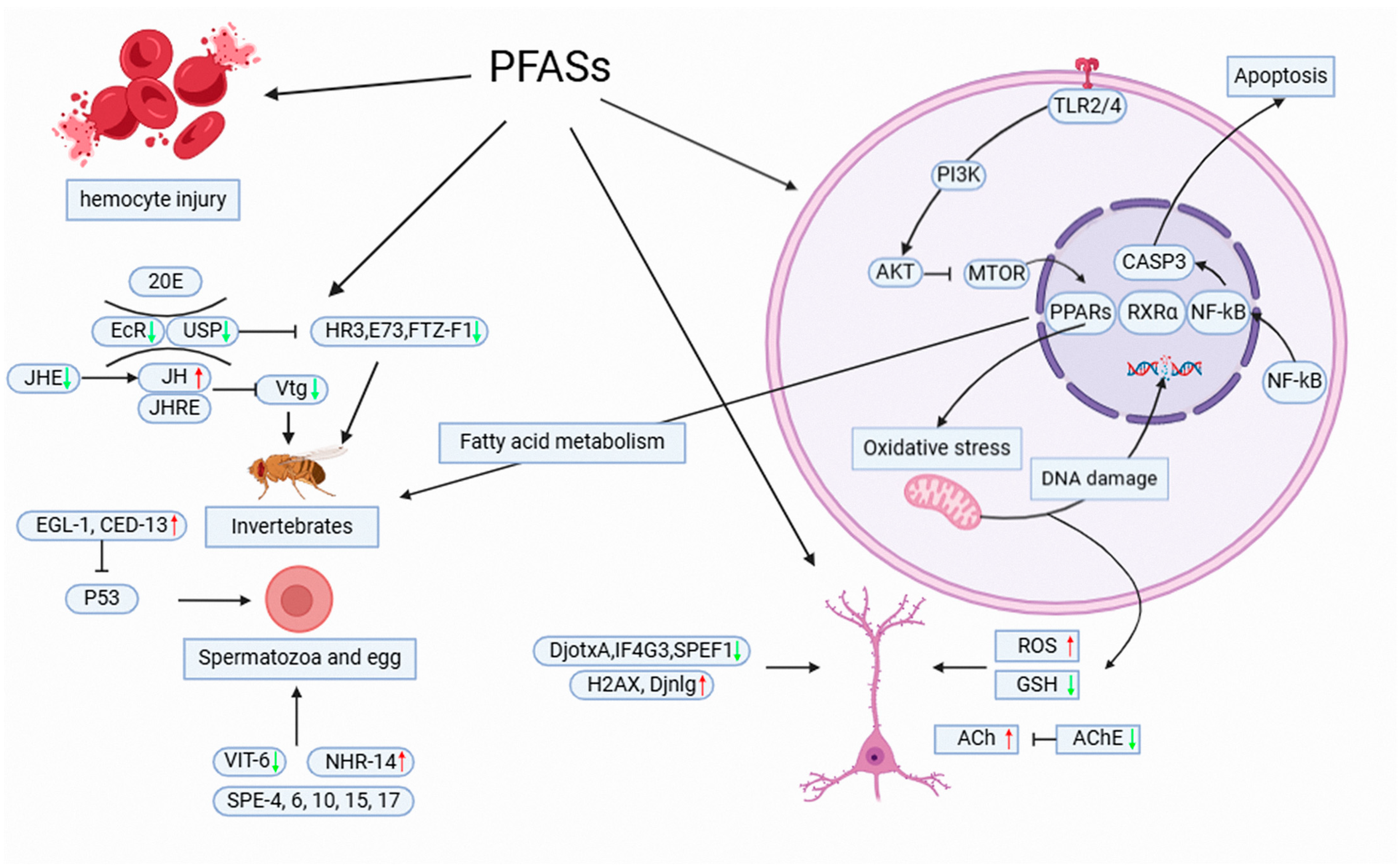 Toxics 13 00047 g002