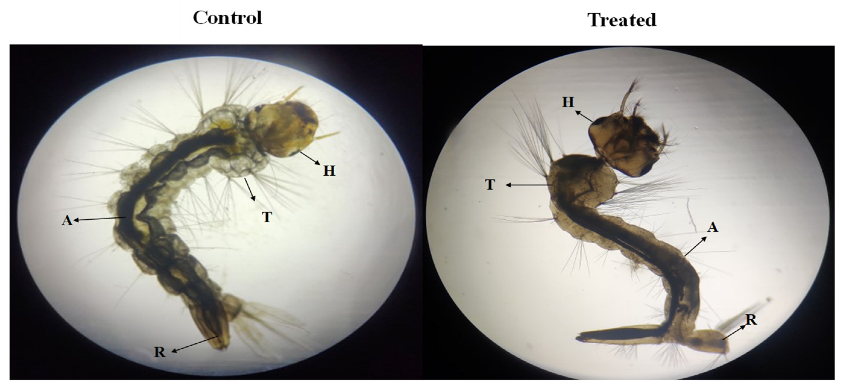 Toxics 13 00051 g006