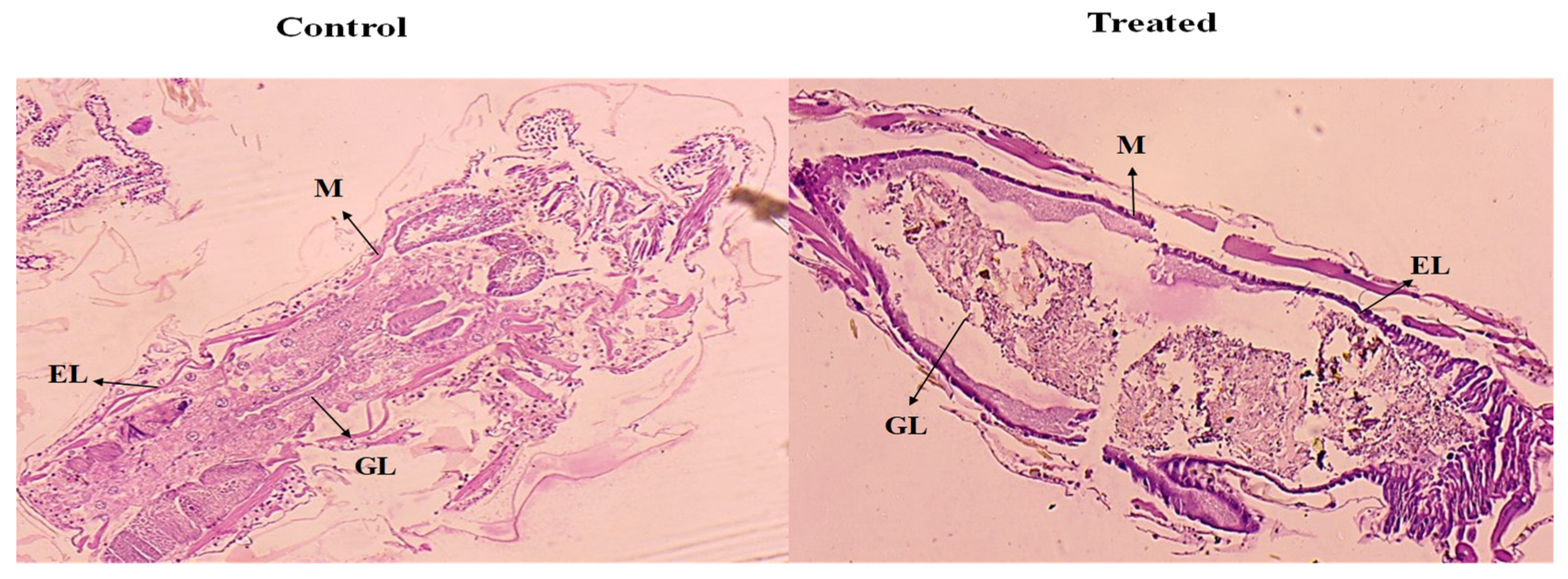 Toxics 13 00051 g007
