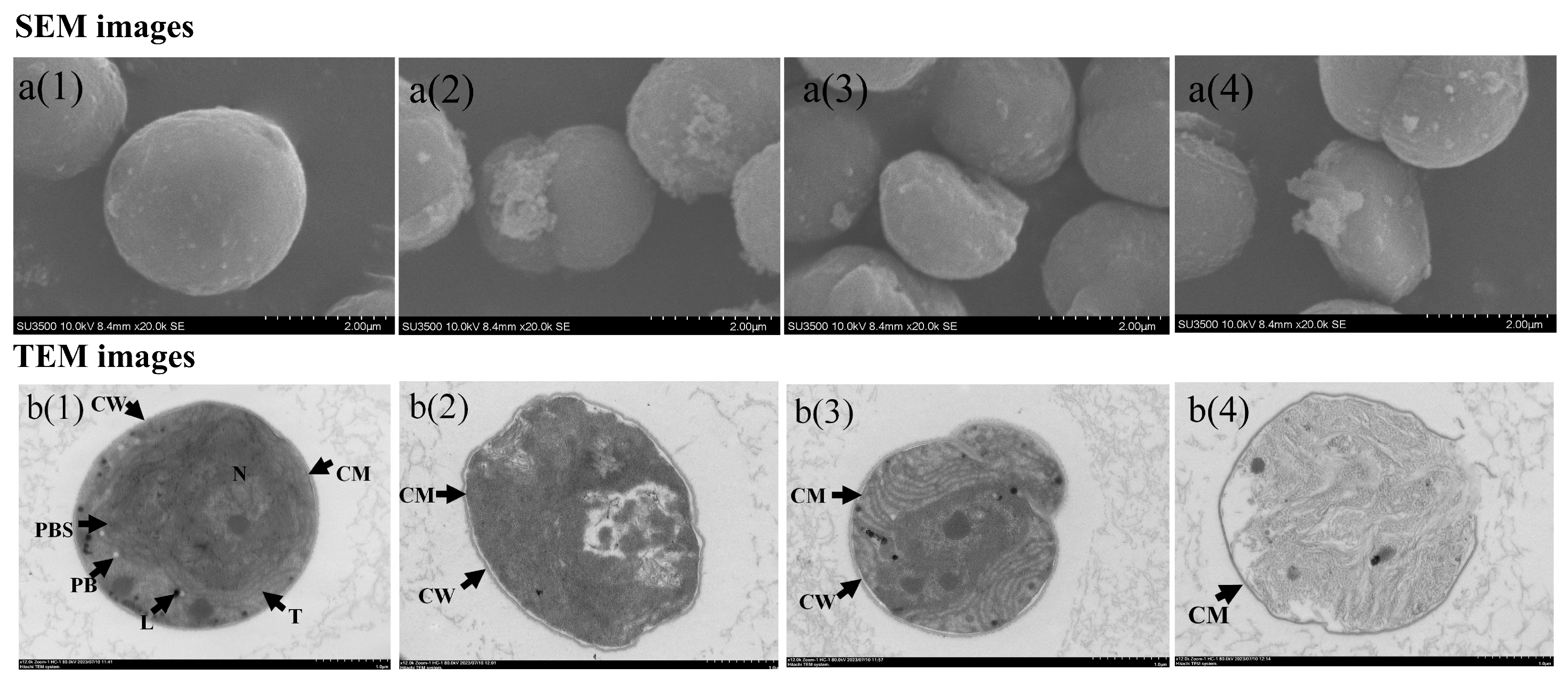 Toxics 13 00064 g003