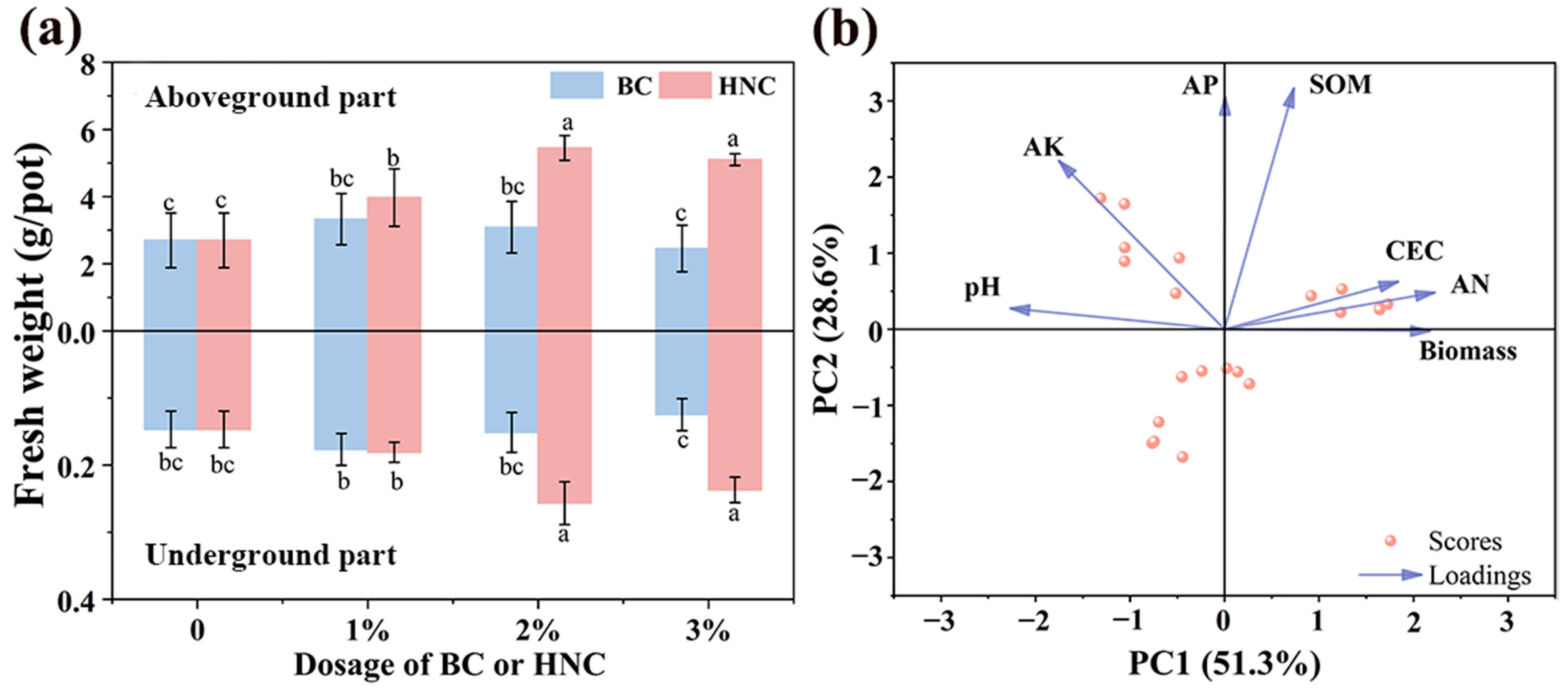 Toxics 13 00079 g001