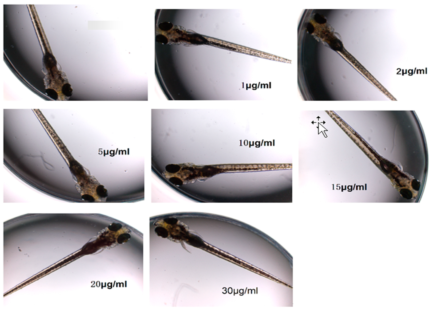 Toxics 13 00082 g004